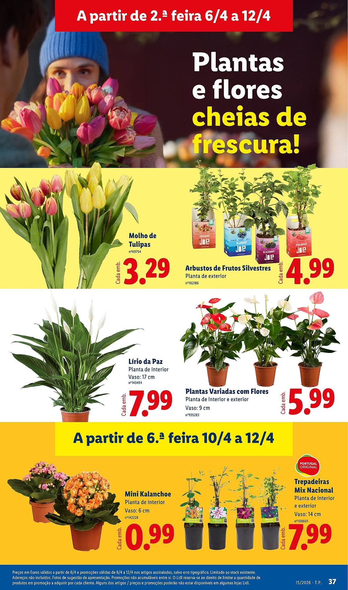 Folheto Lidl (2026-04-06 - 2026-04-12) | 37