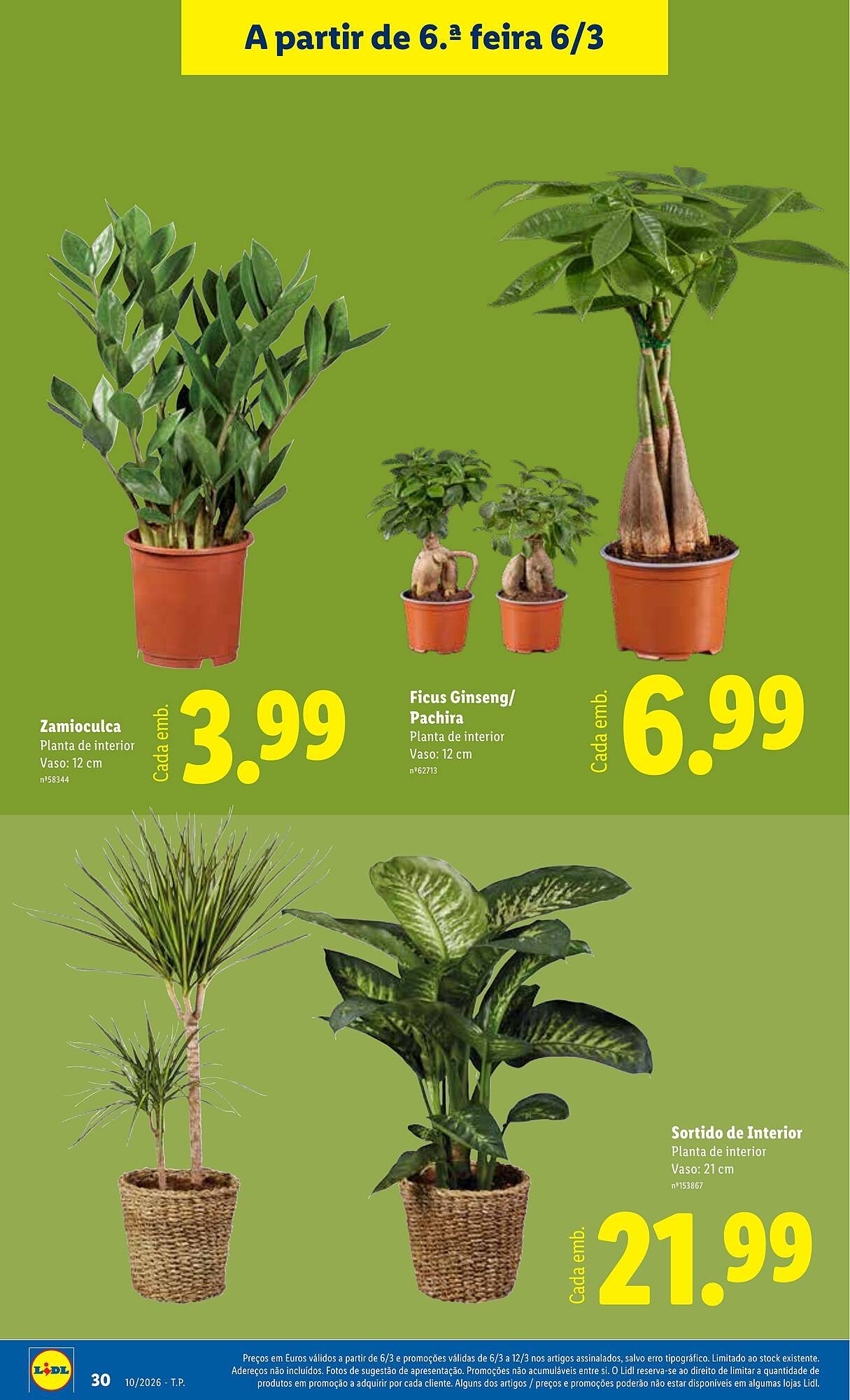 Folheto Lidl (2026-03-02 - 2026-03-08) | 30