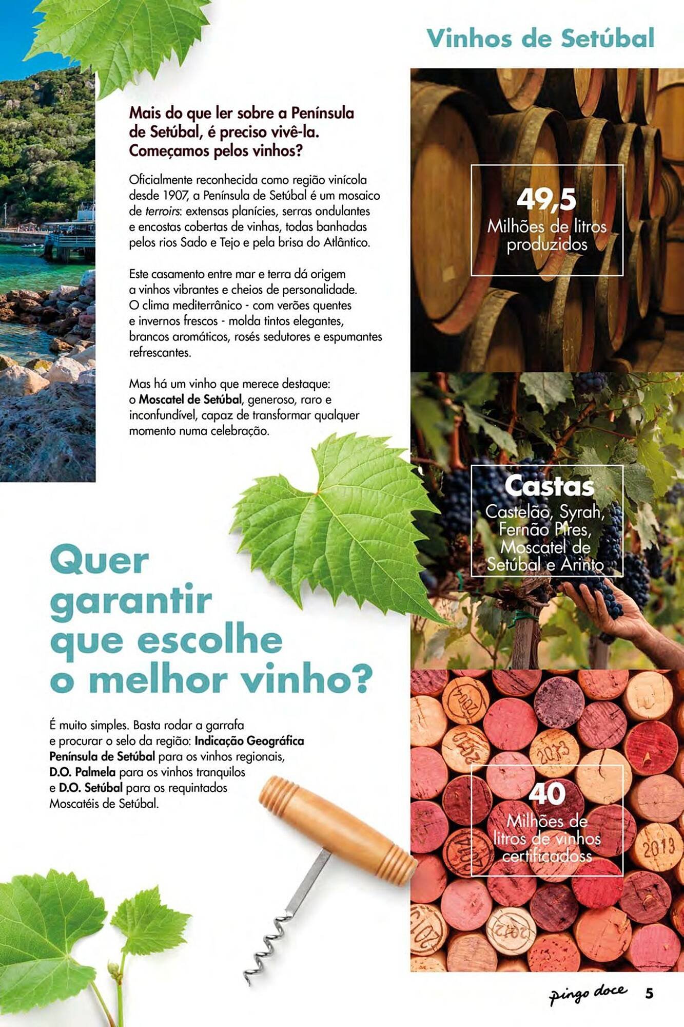Folheto Pingo Doce (2026-05-08 - 2026-05-27) | 5