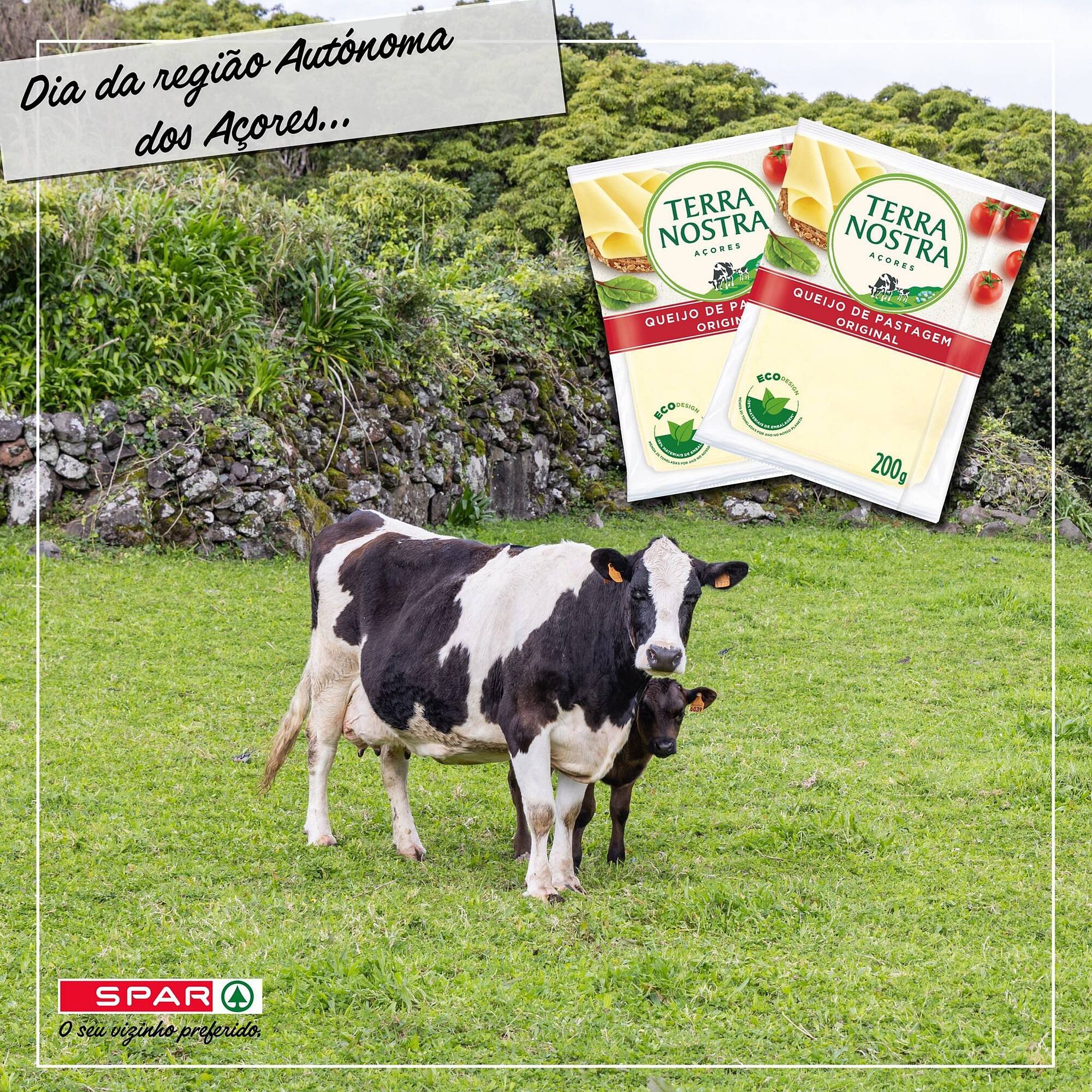 Folheto Spar (2025-06-15 - 2025-12-09) | 3