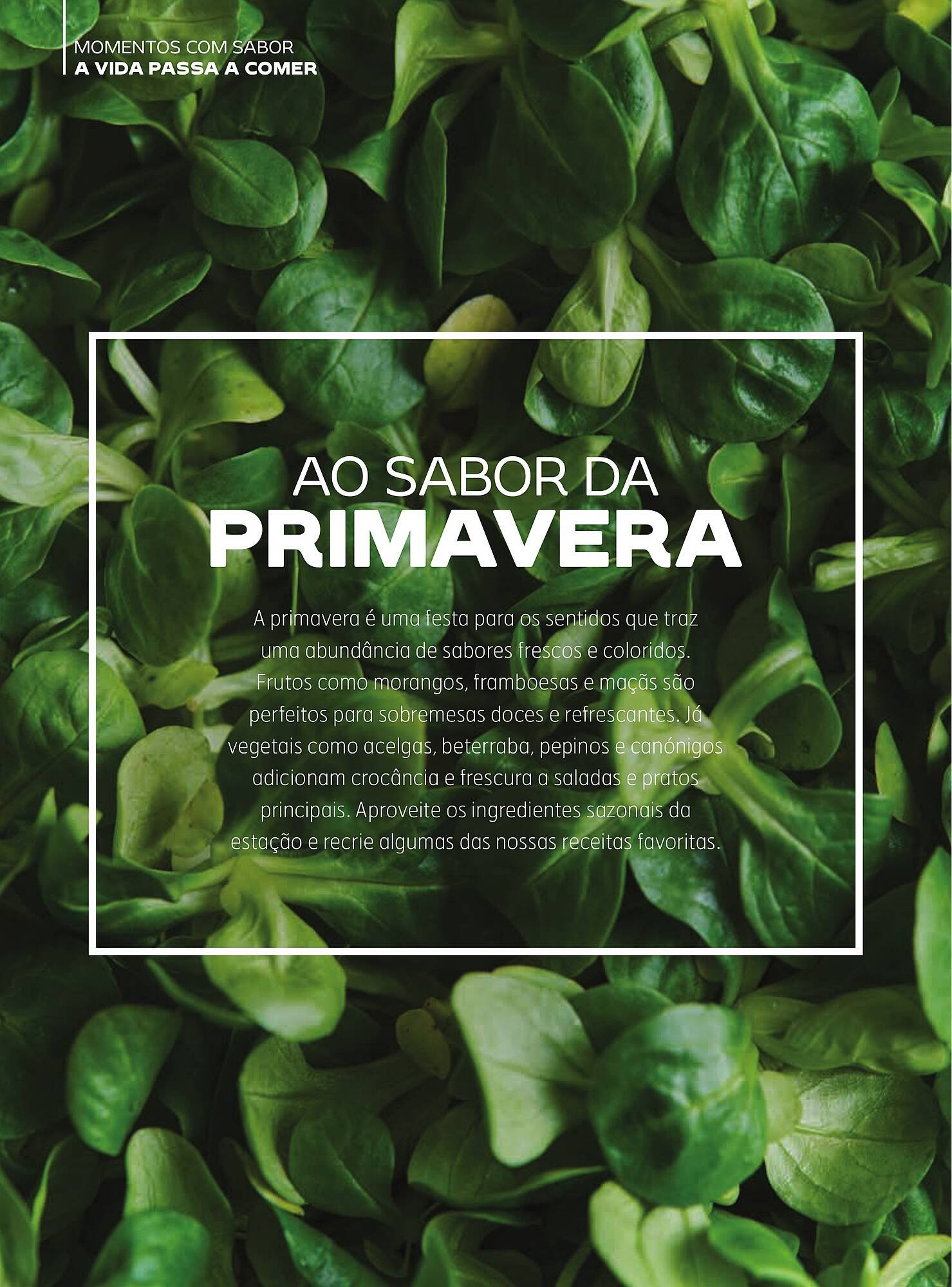 Folheto Continente (2025-06-30 - 2025-12-08) | 27