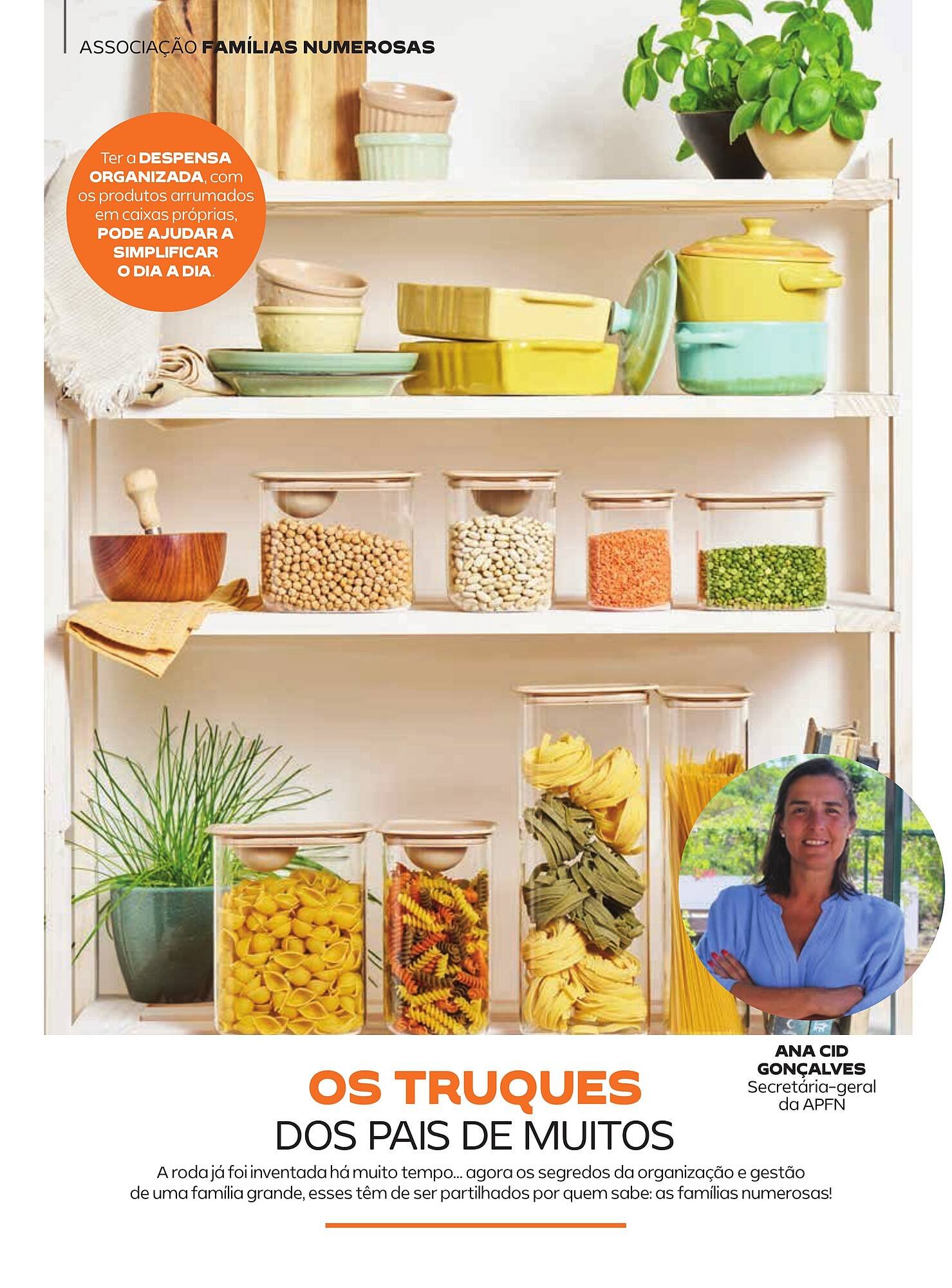 Folheto Continente (2025-06-30 - 2025-12-08) | 35