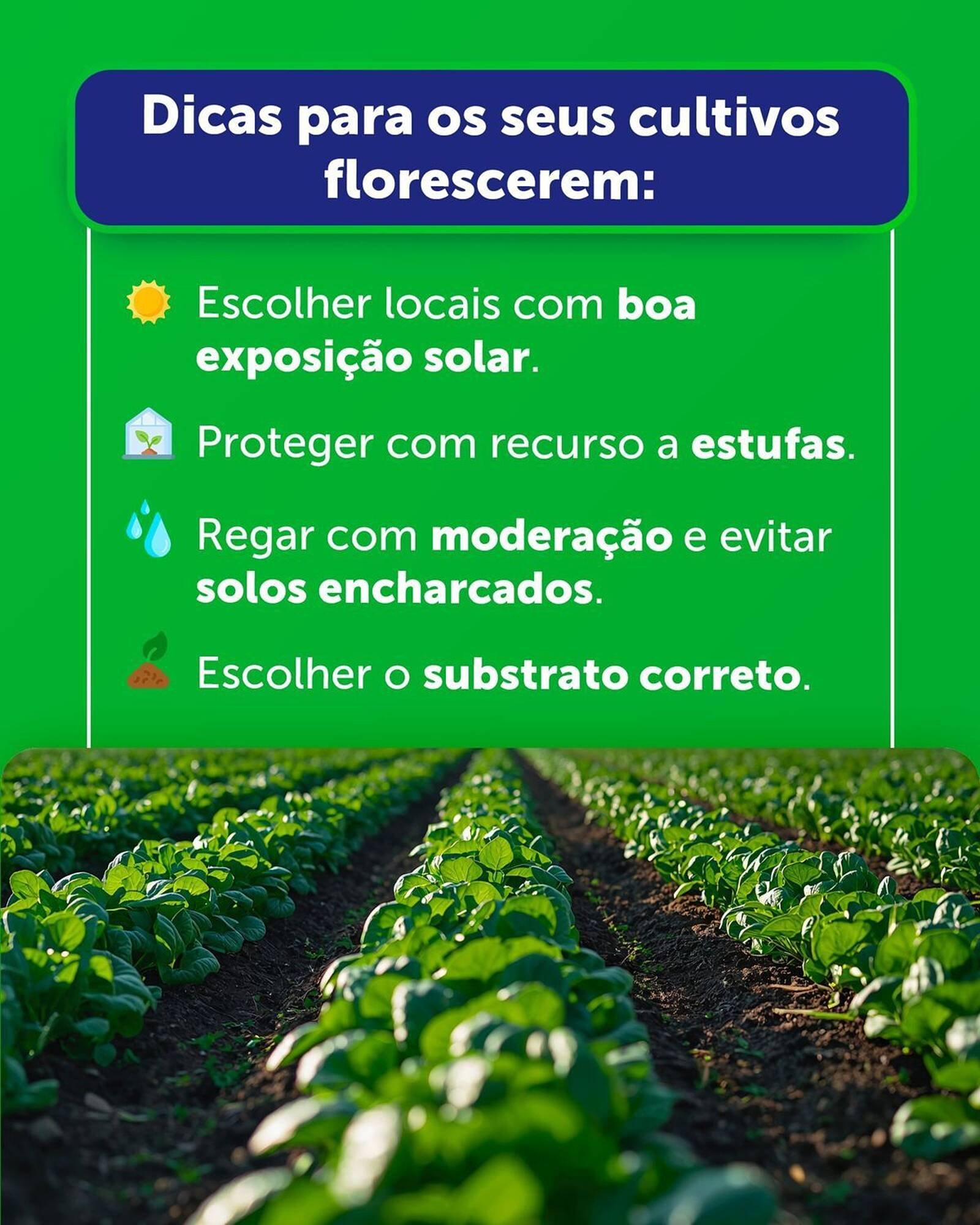 Folheto Agriloja (2026-02-09 - 2026-02-22) | 6