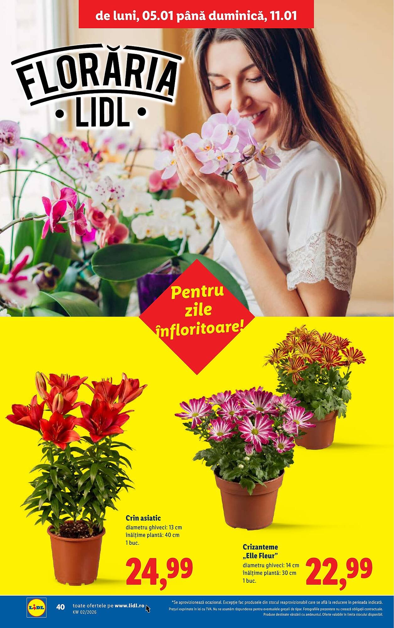 Catalog Lidl
