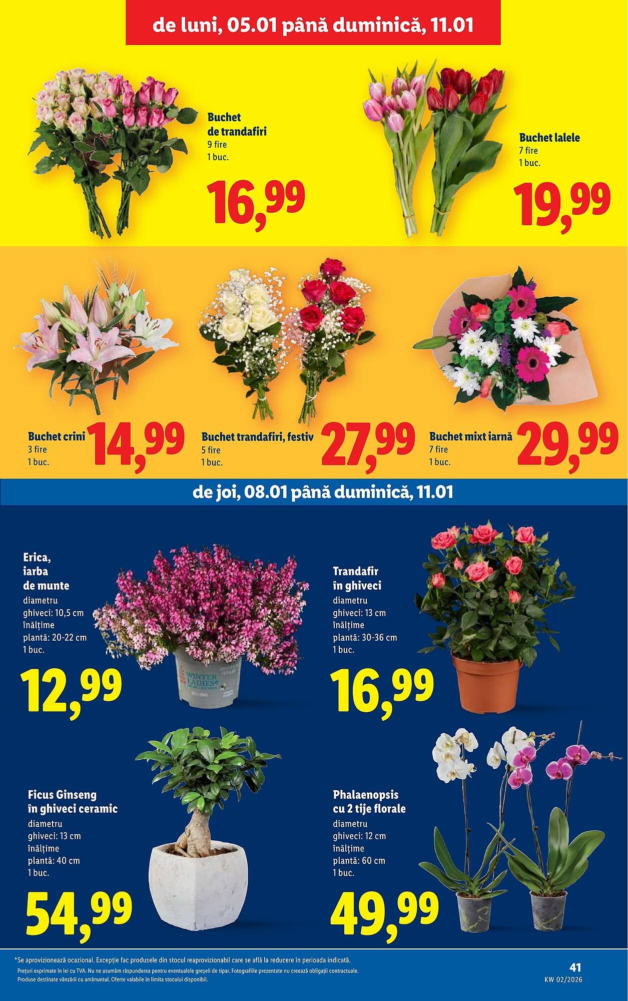 Catalog Lidl