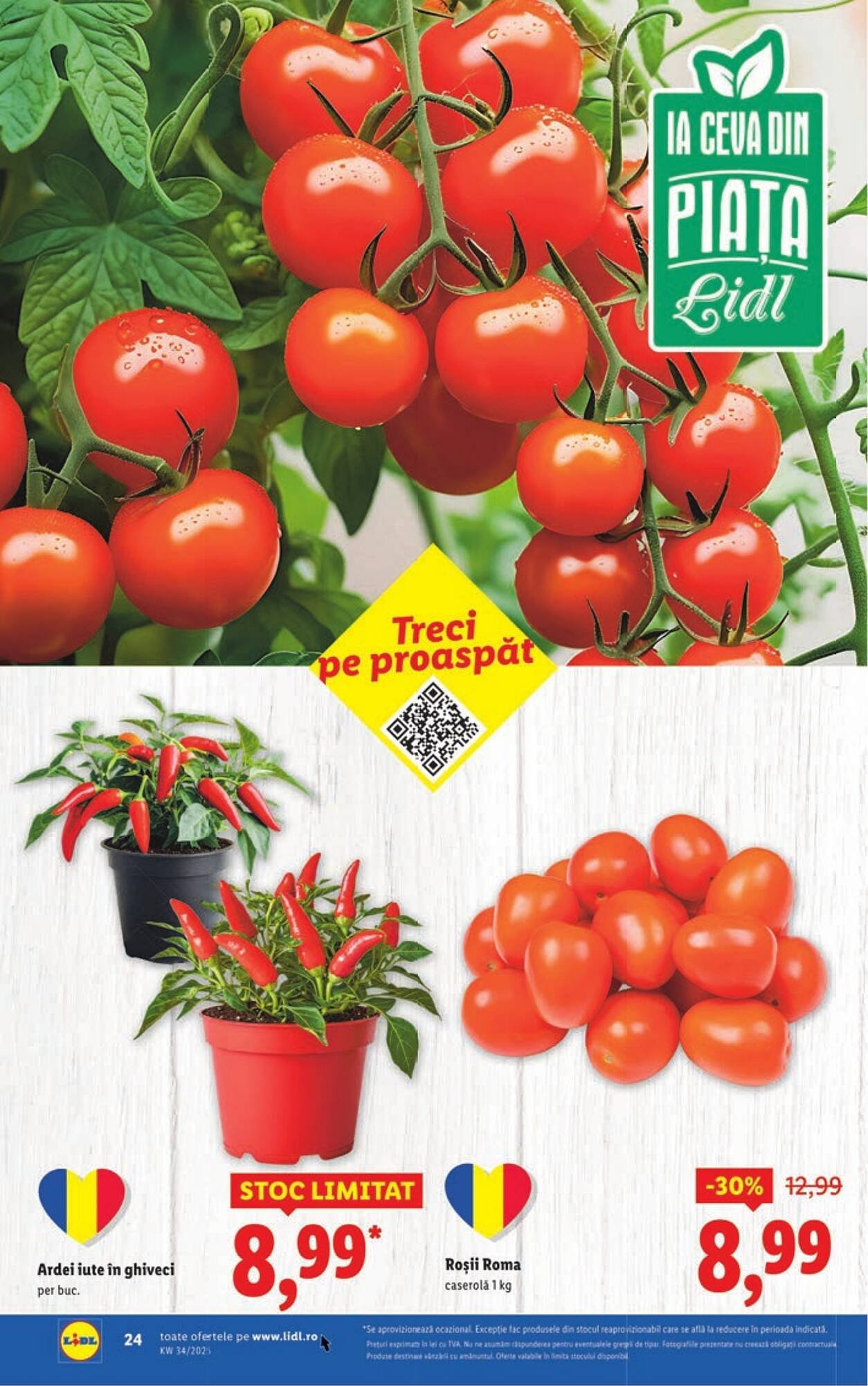 Catalog Lidl