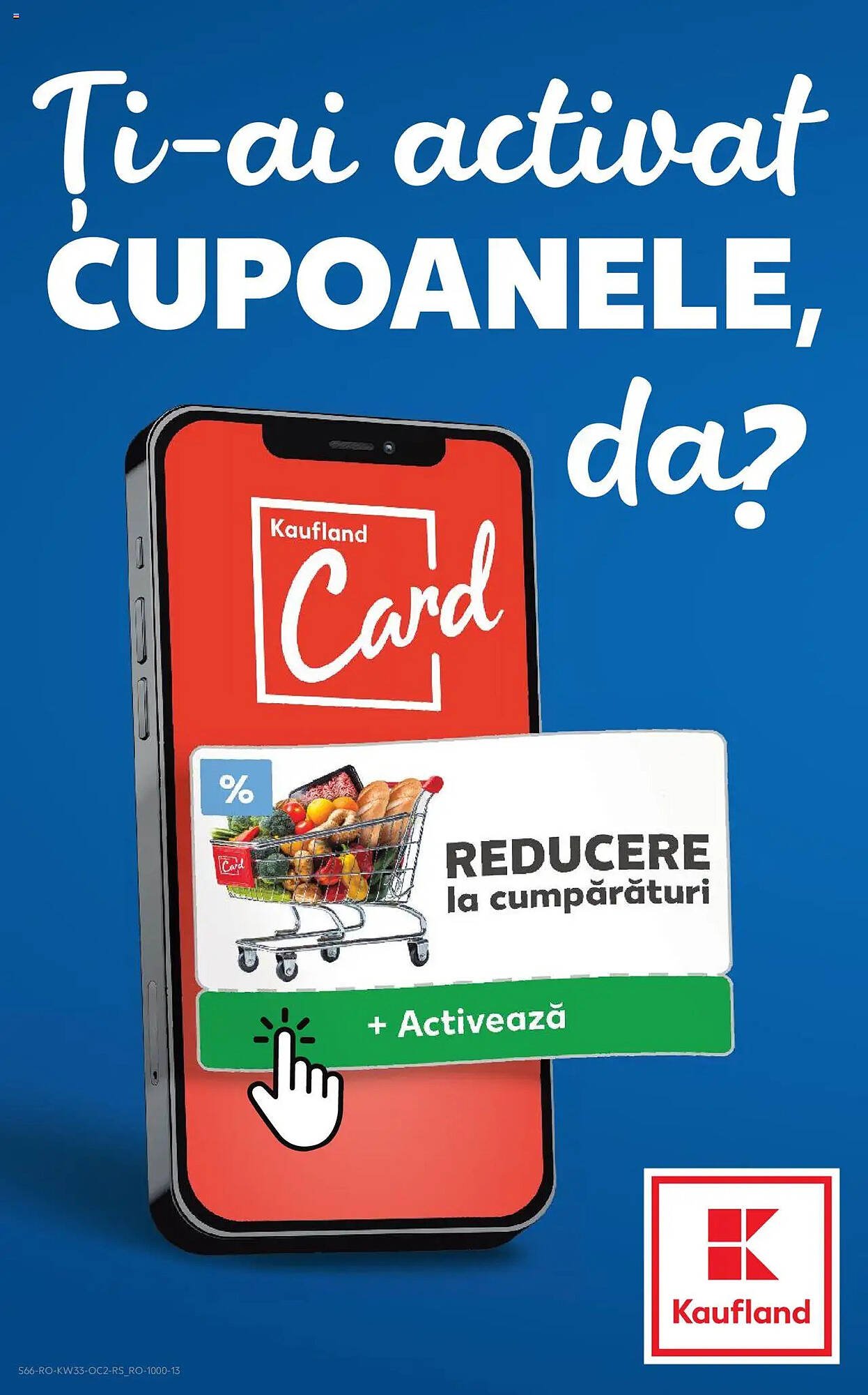 Catalog Kaufland