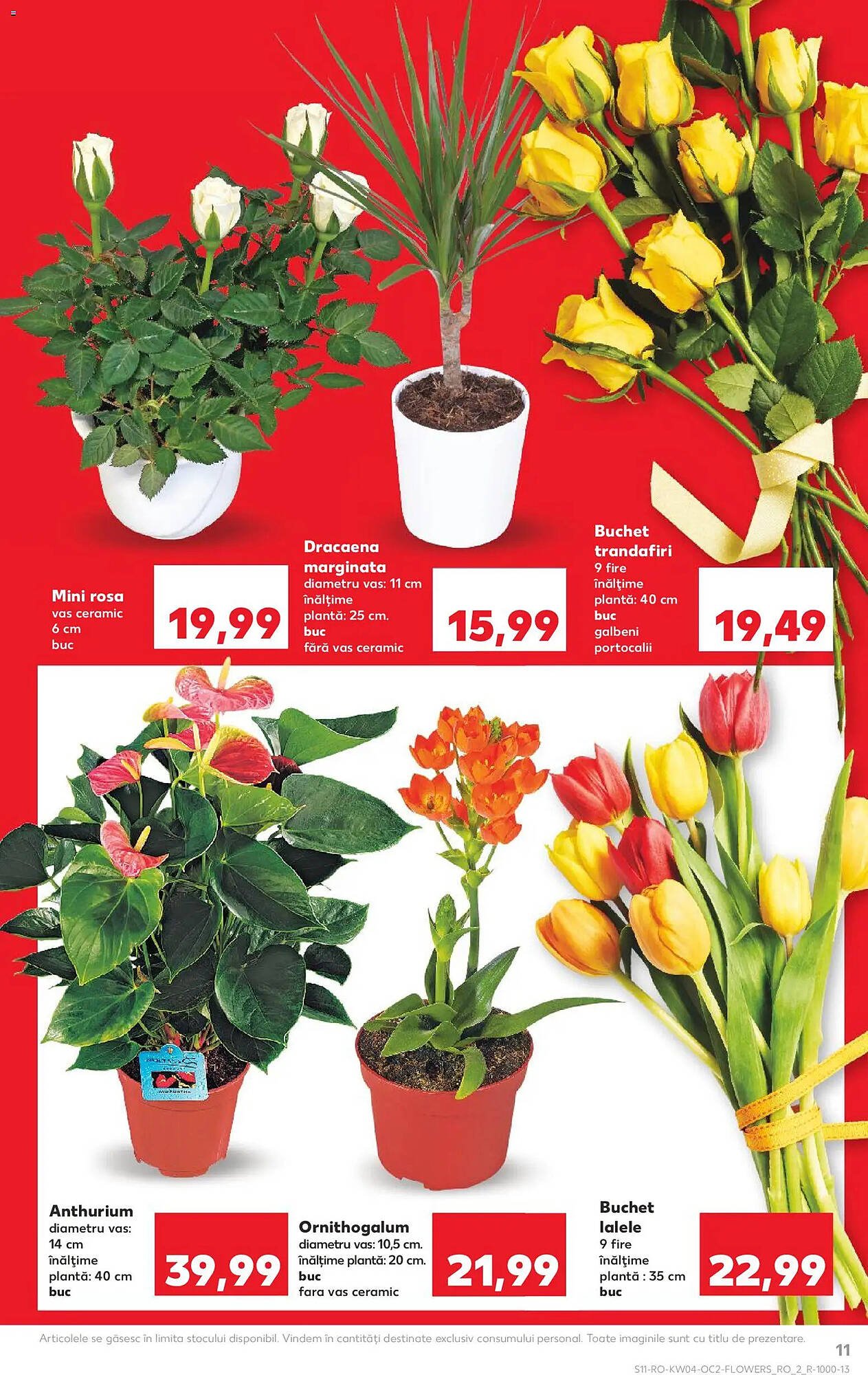 Catalog Kaufland