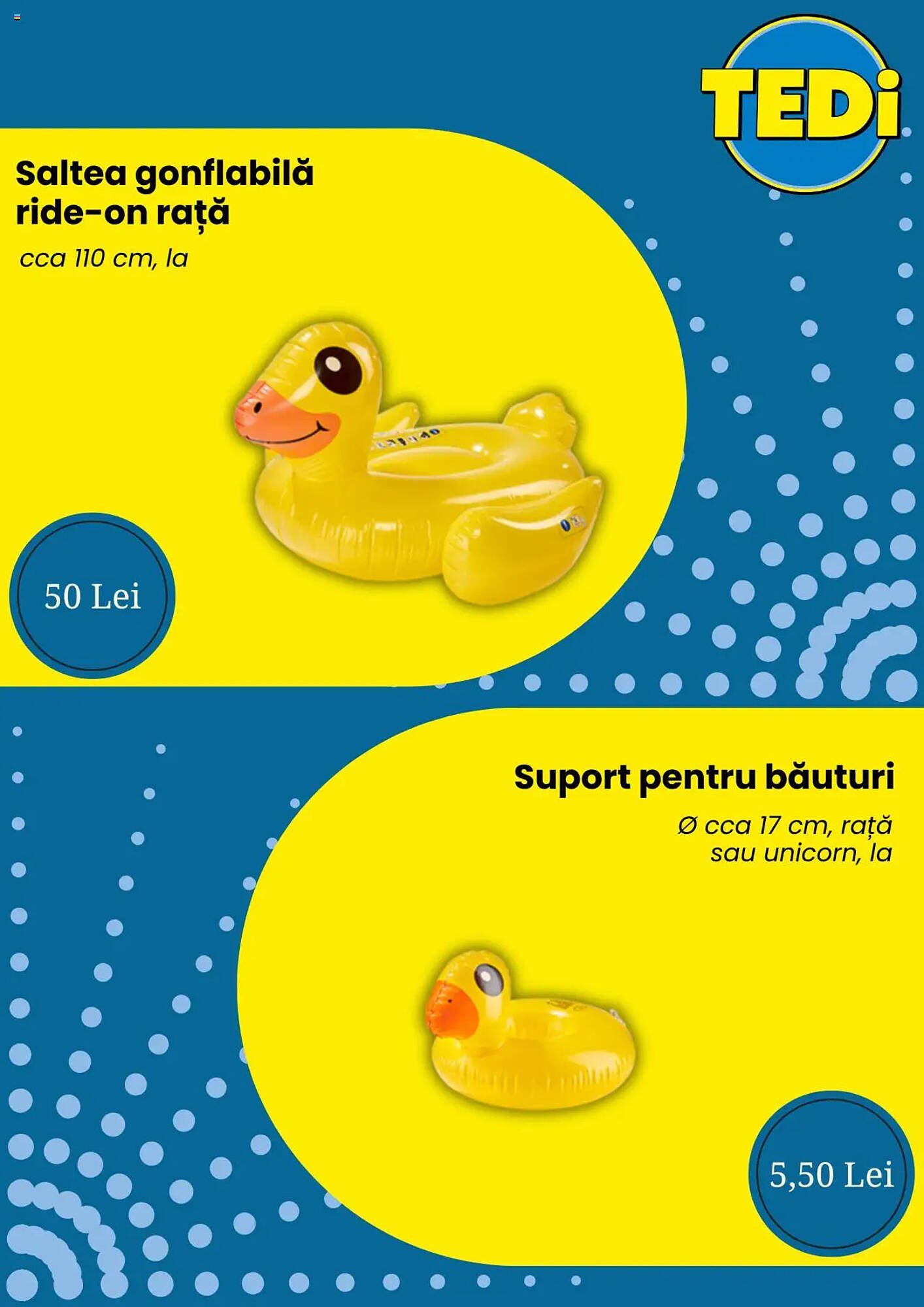Catalog TEDI