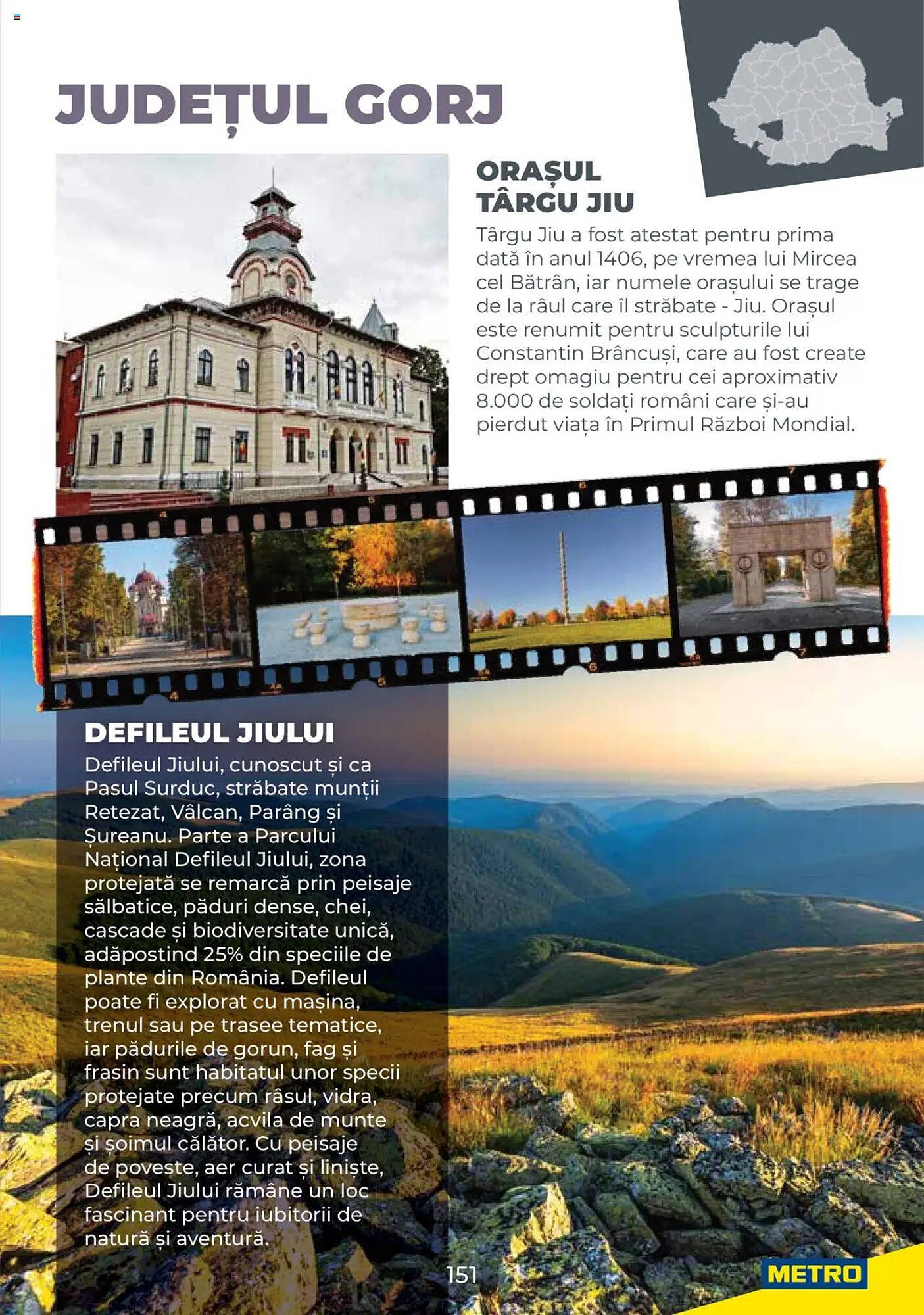 Catalog Metro