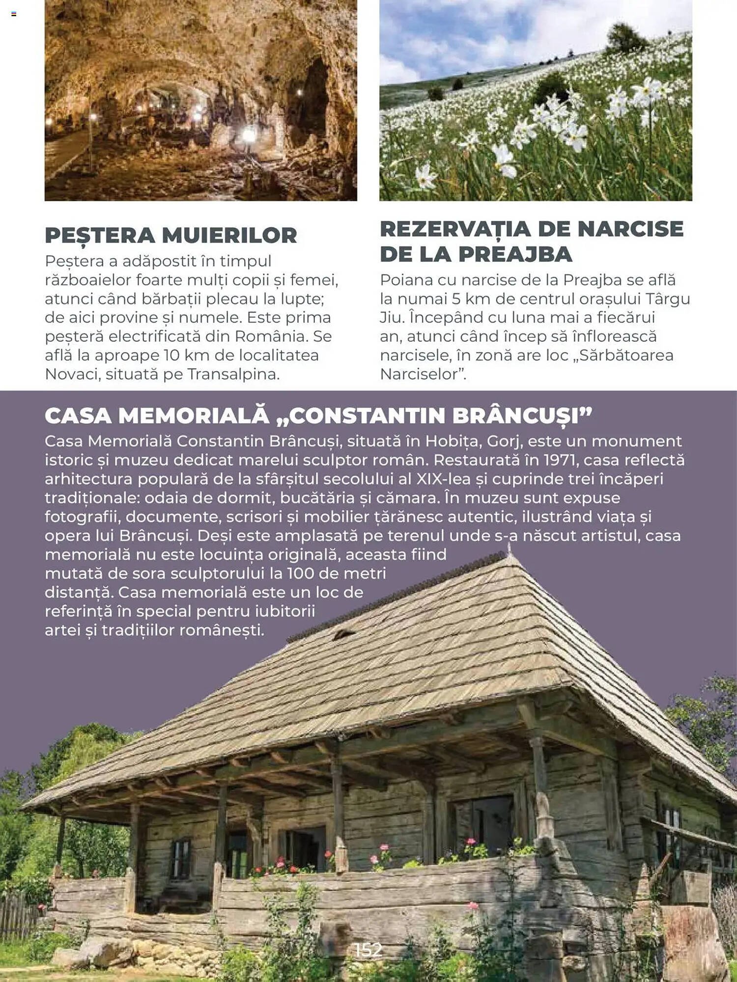 Catalog Metro