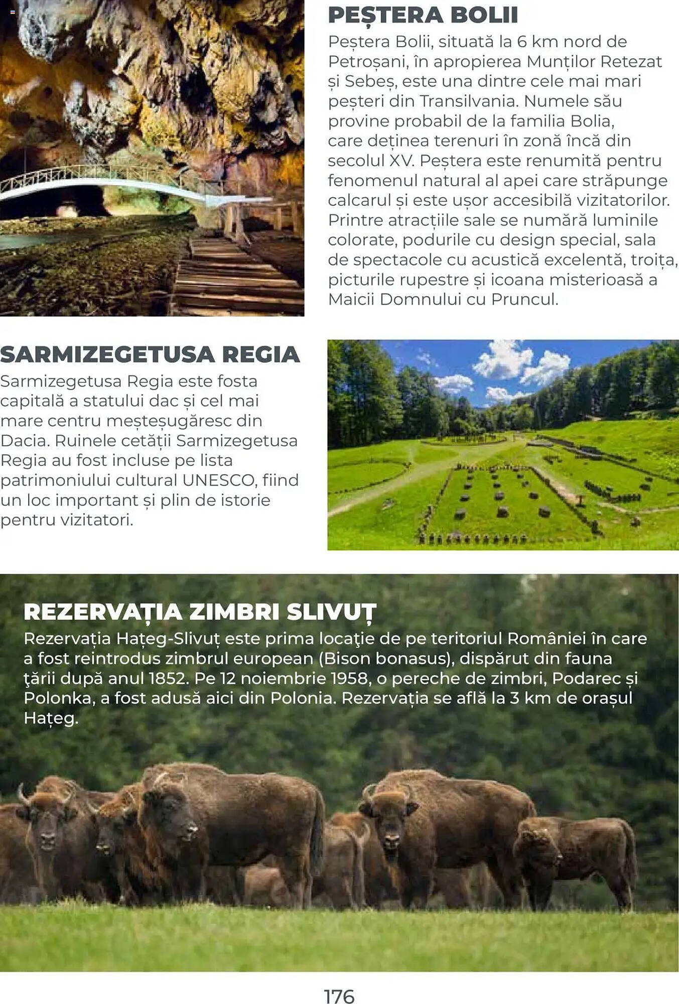 Catalog Metro