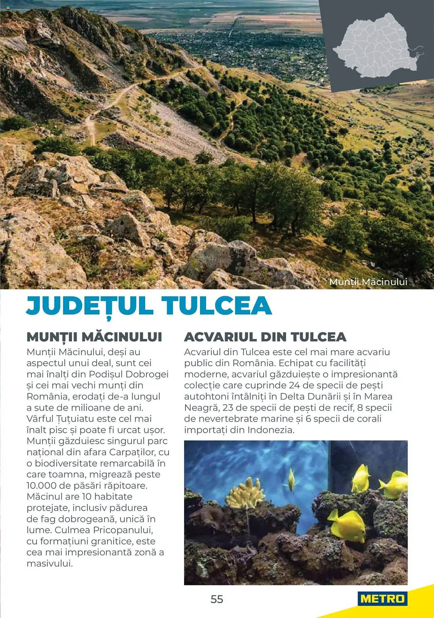 Catalog Metro