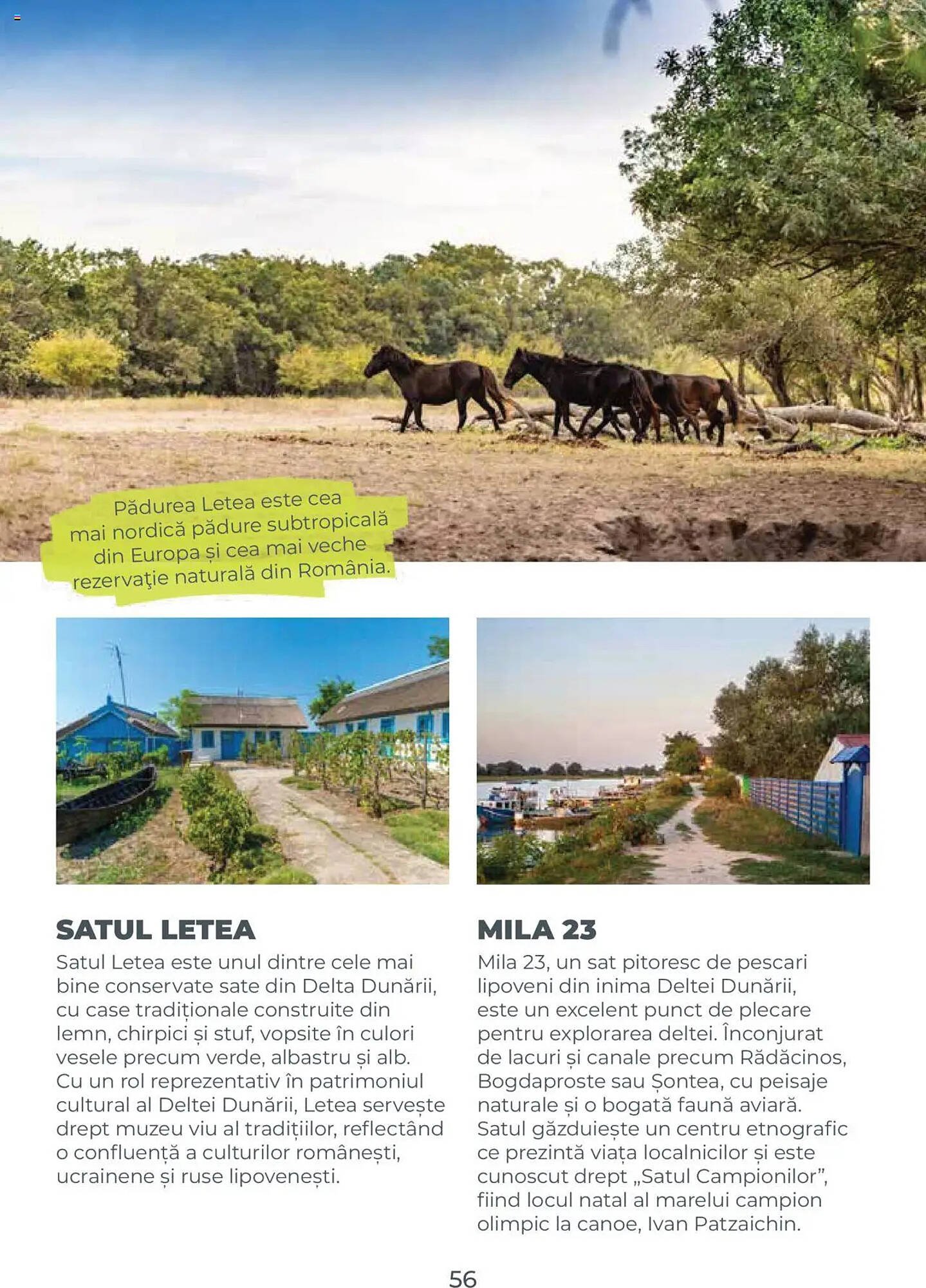 Catalog Metro