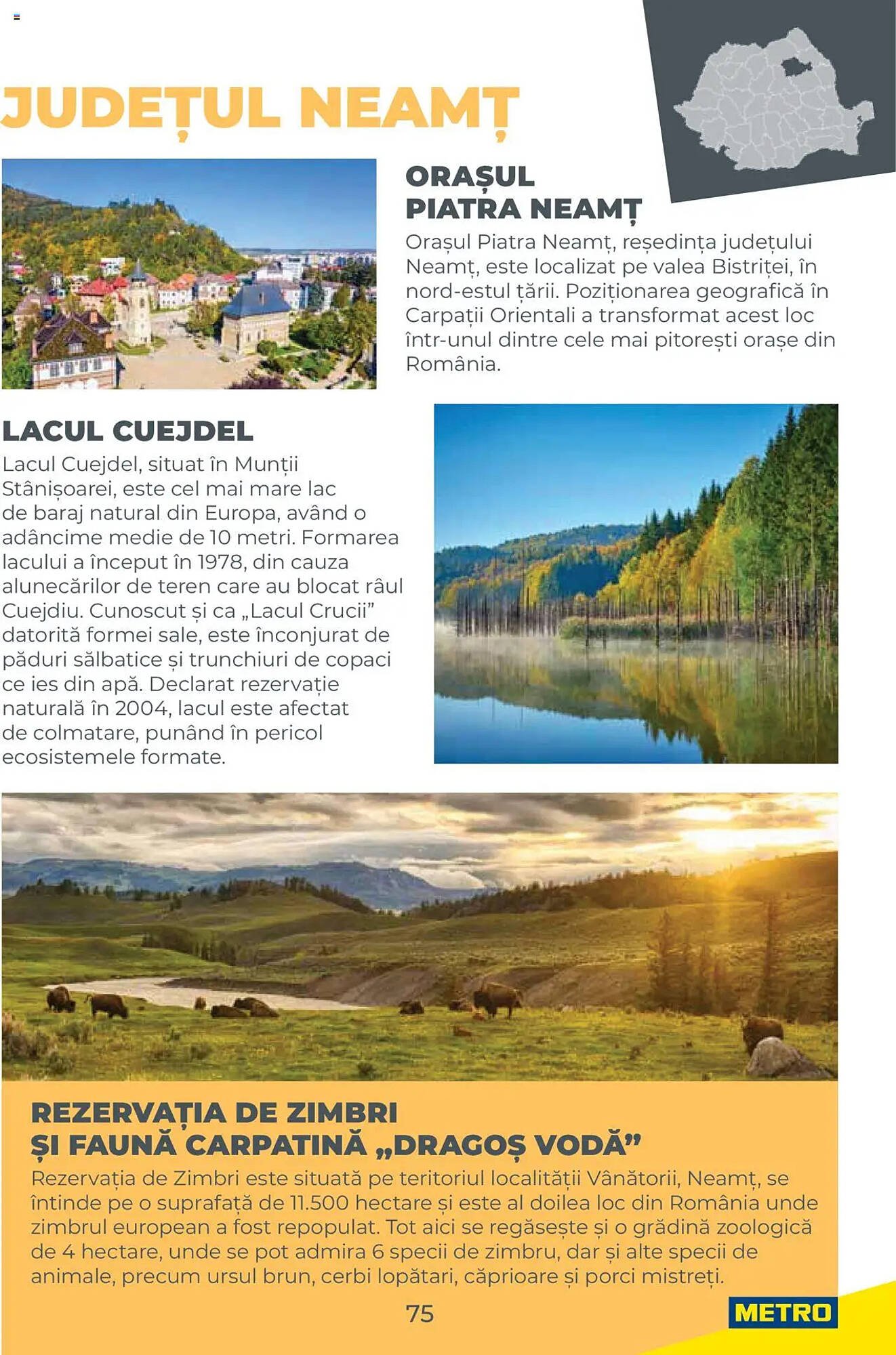 Catalog Metro