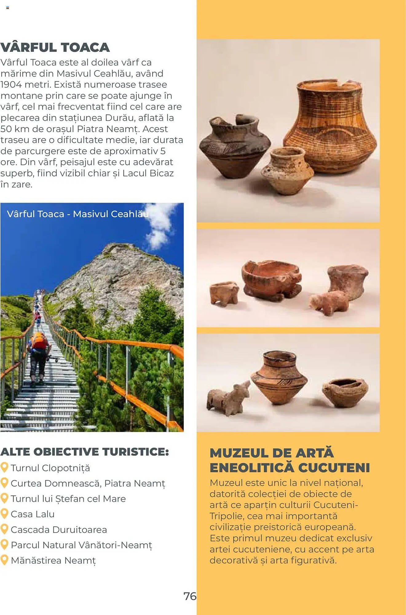 Catalog Metro