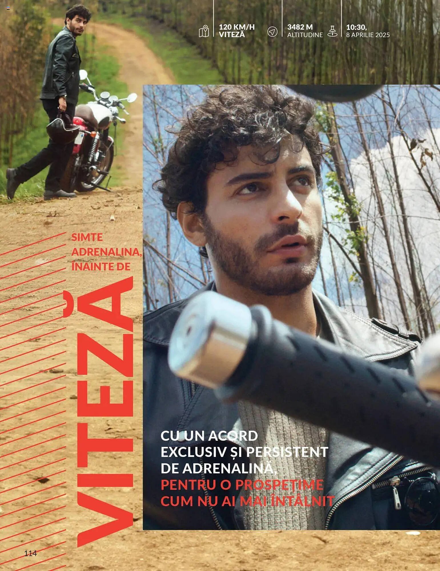 Catalog Avon