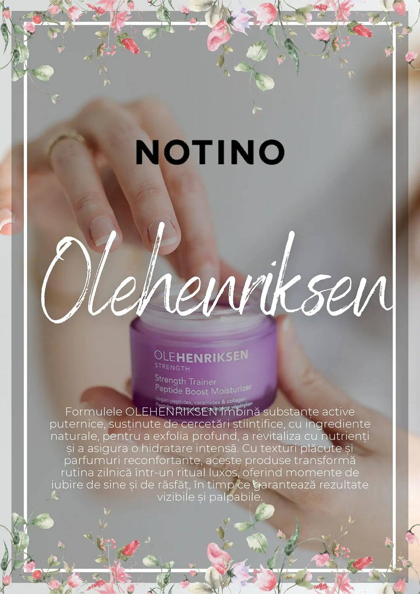 Catalog Notino