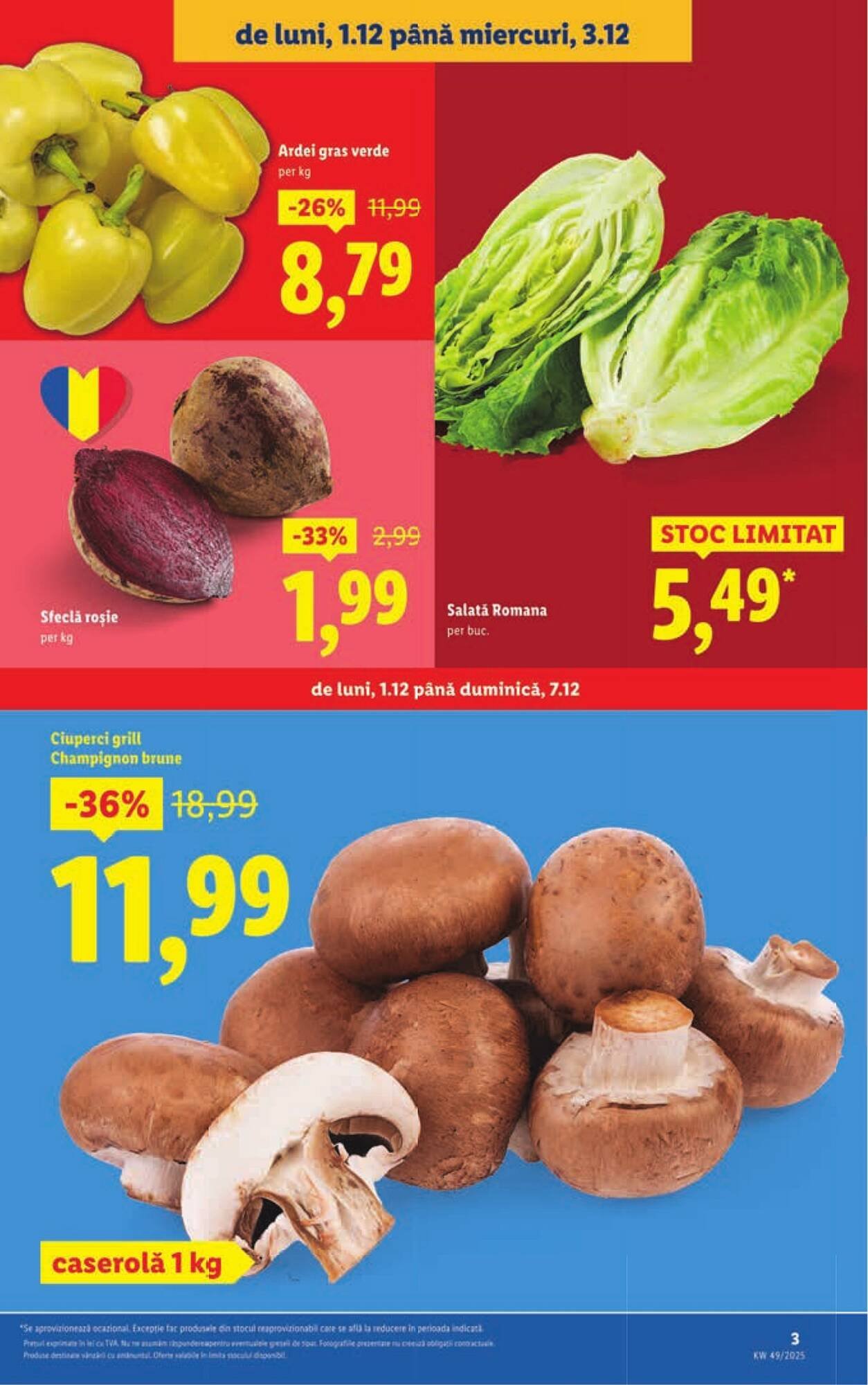 Catalog Lidl