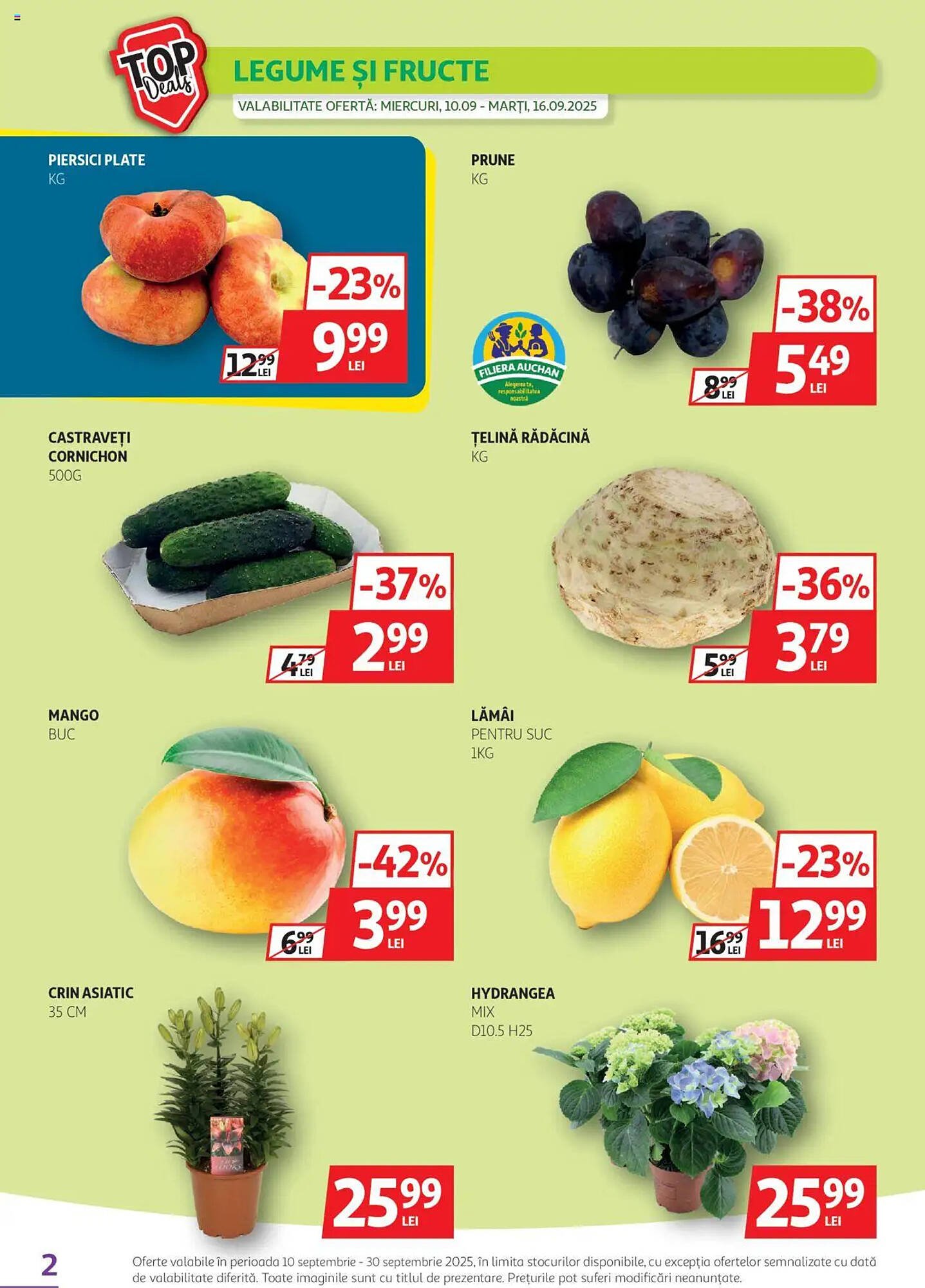 Catalog Auchan