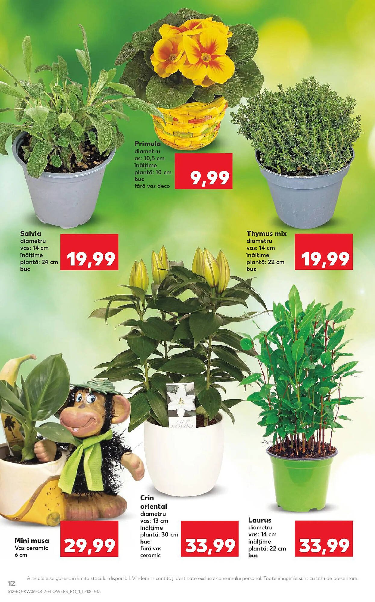 Catalog Kaufland