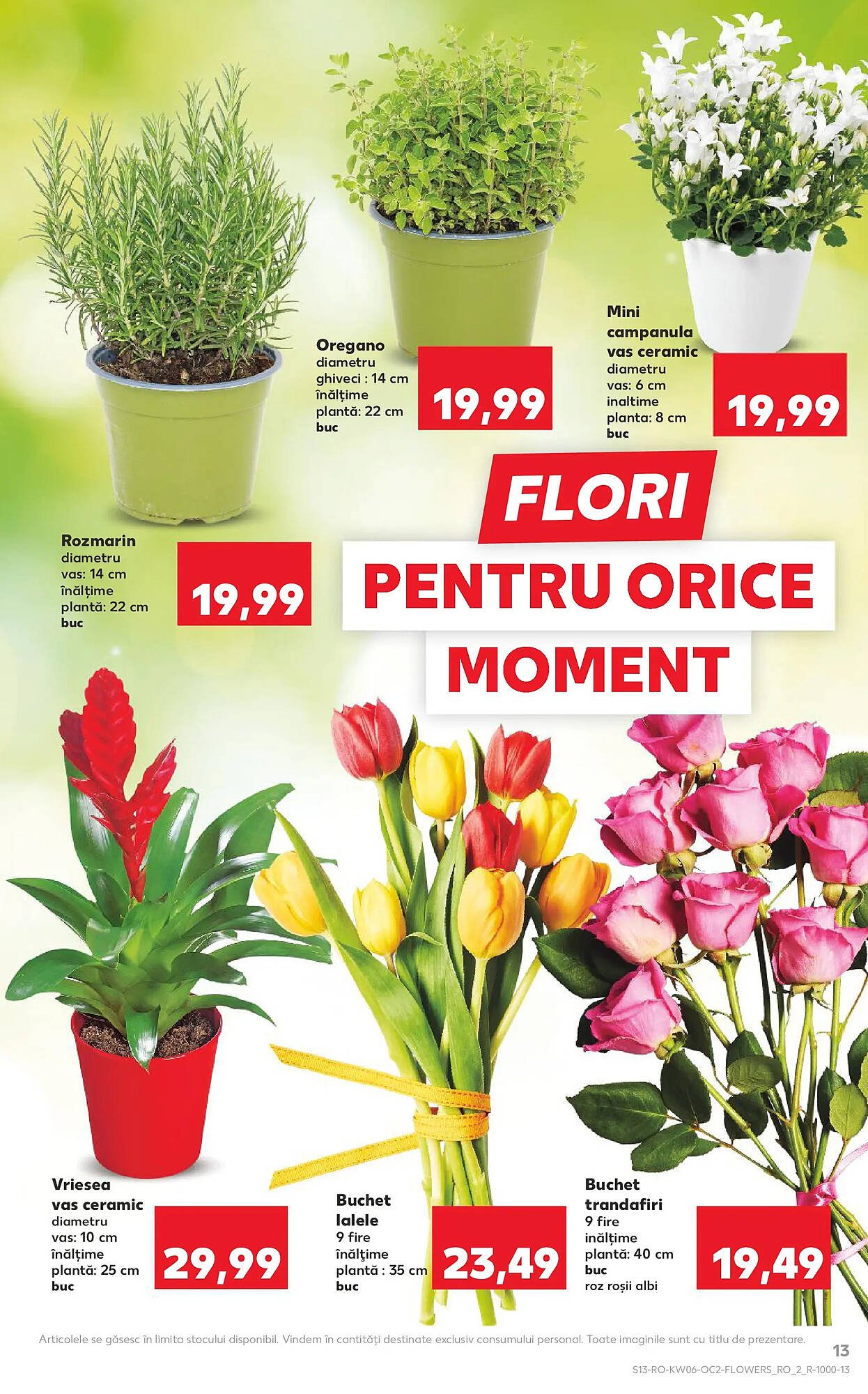 Catalog Kaufland