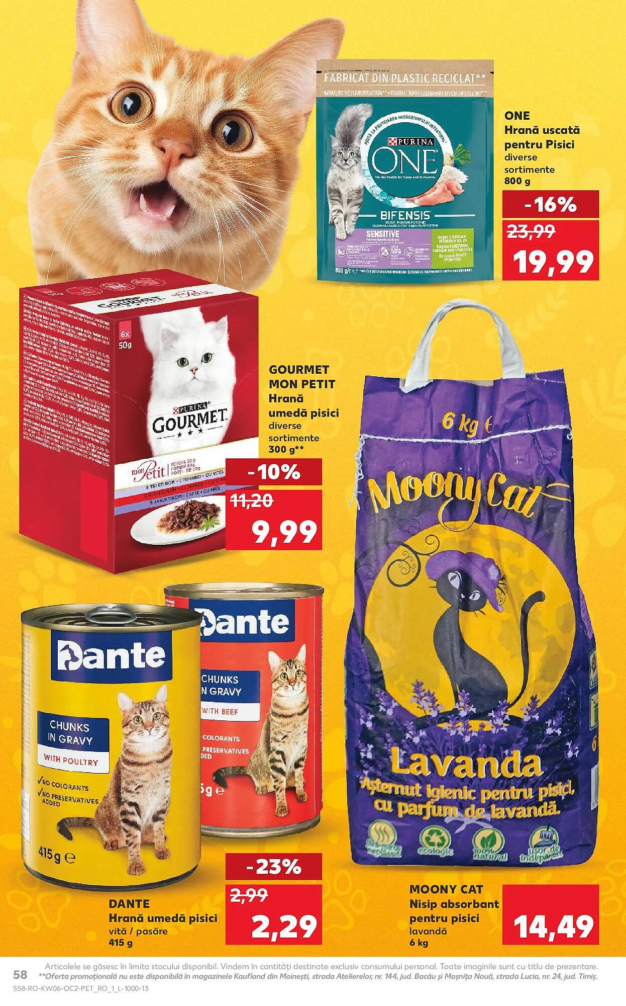 Catalog Kaufland