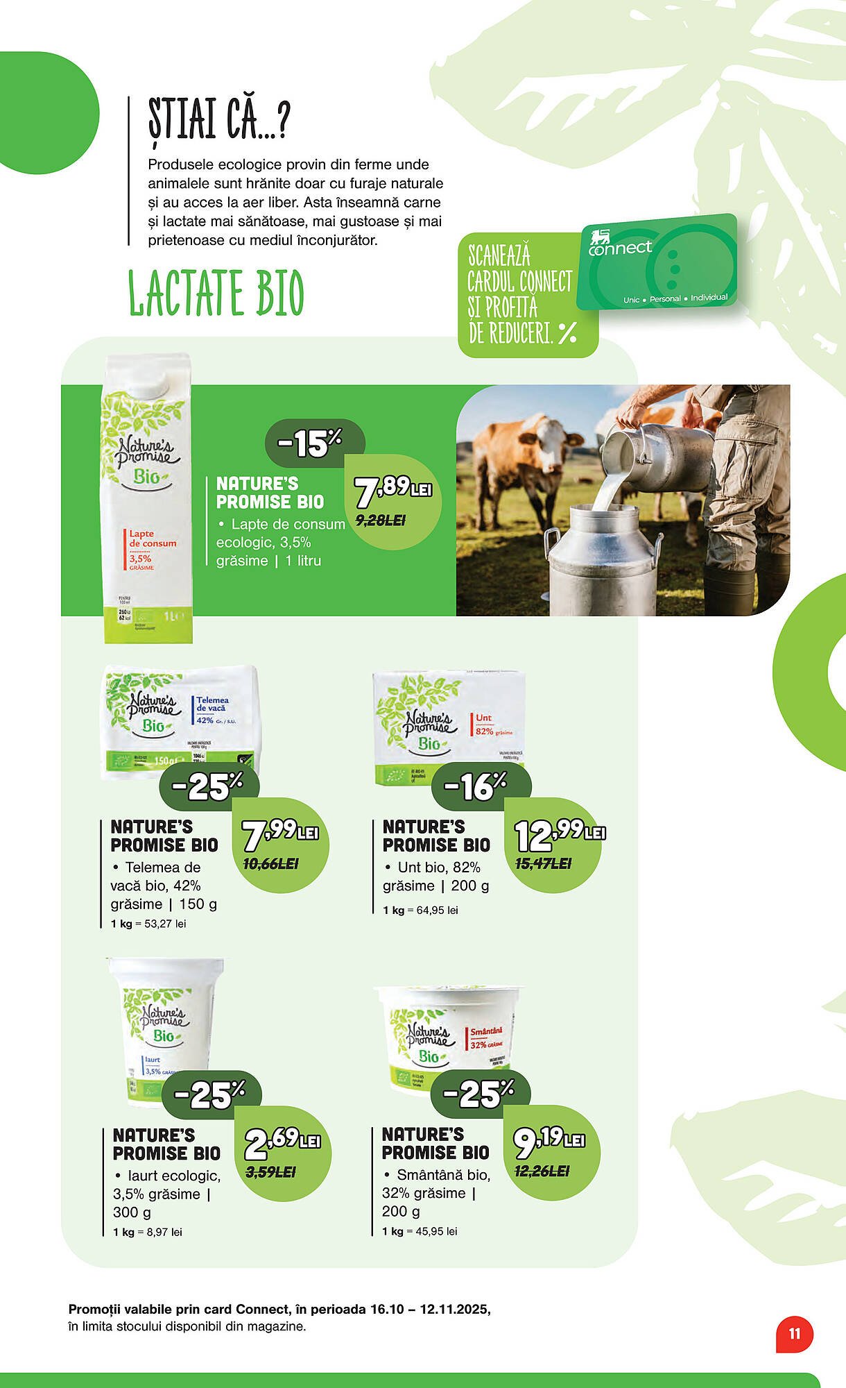 Catalog Mega Image