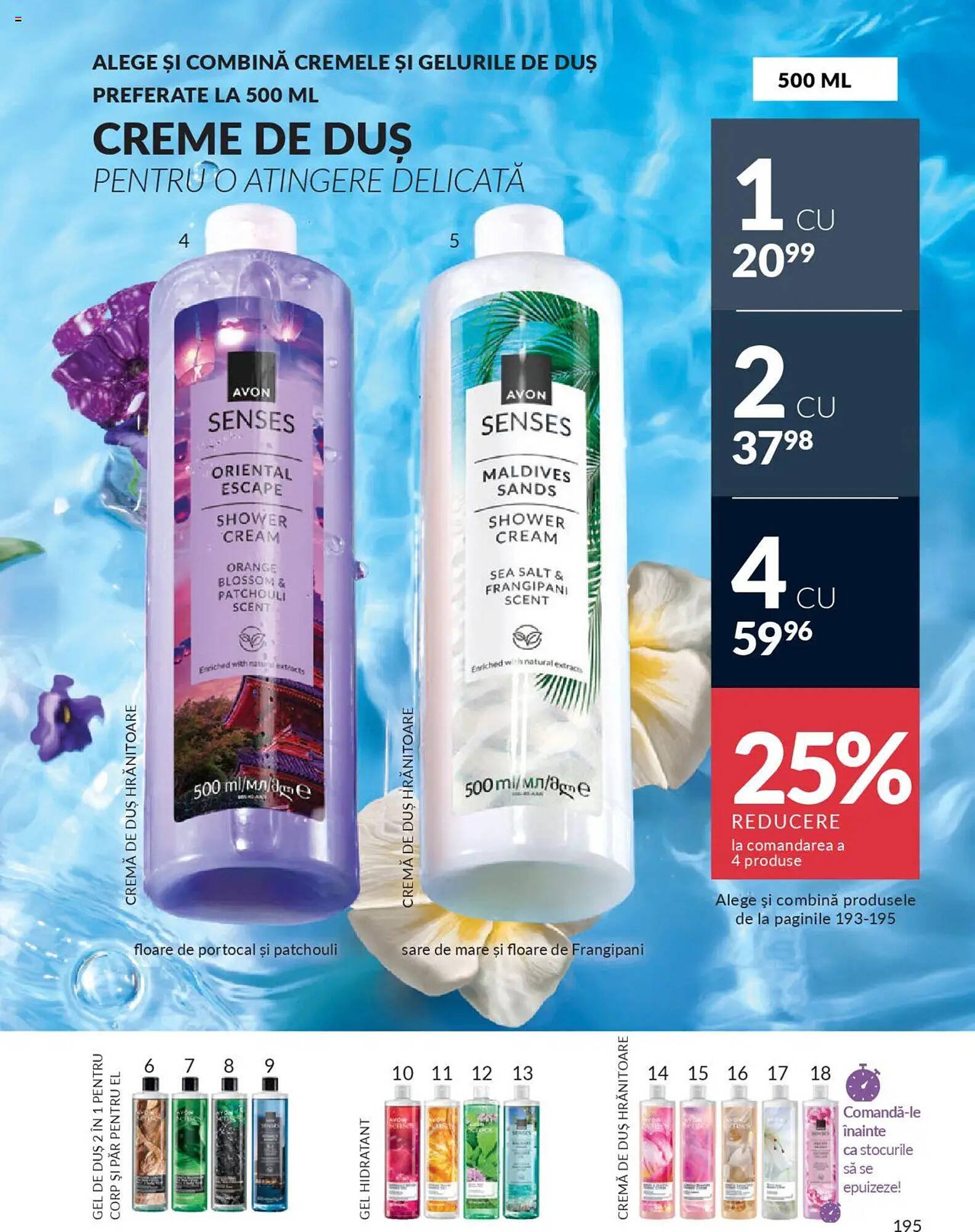 Catalog Avon