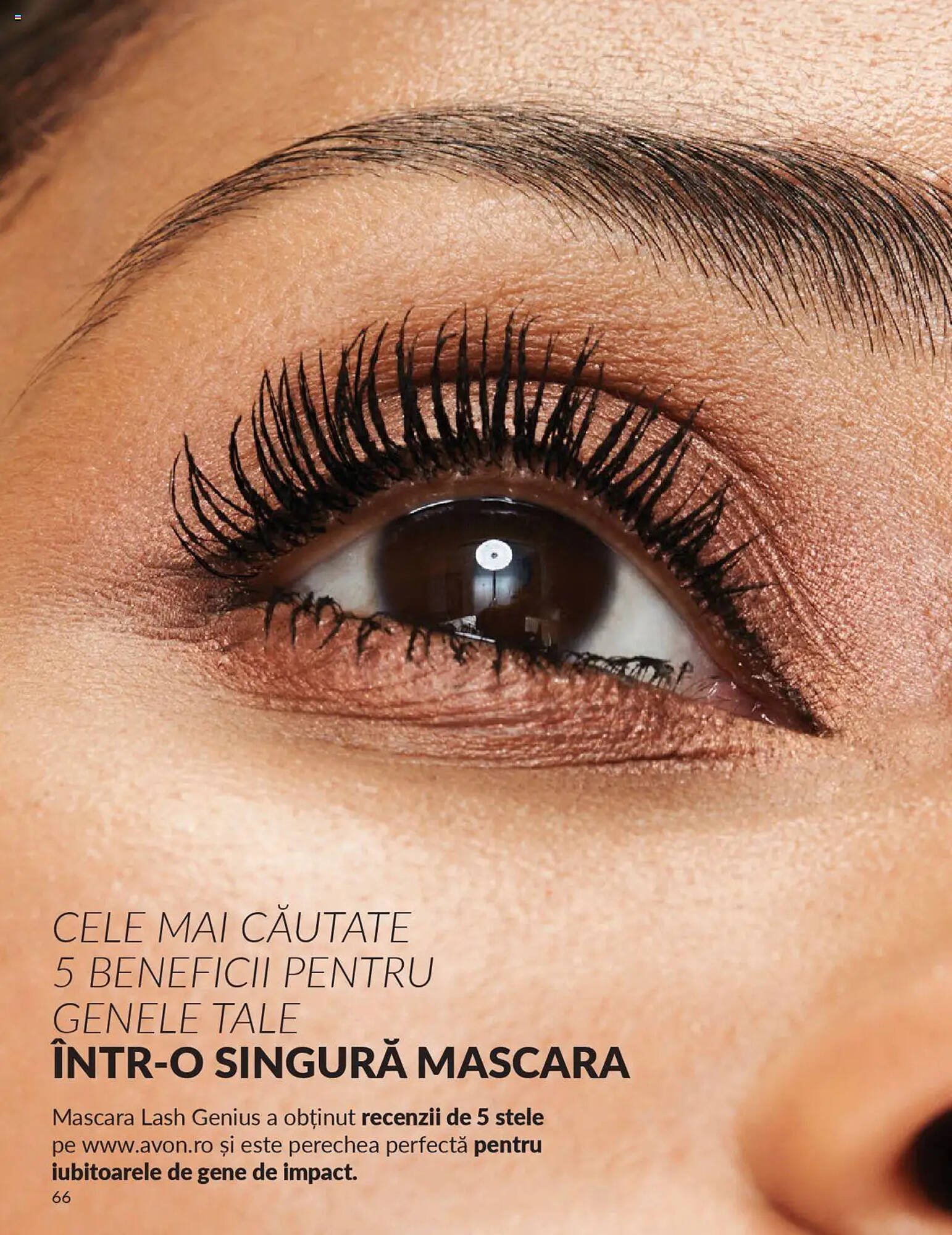 Catalog Avon