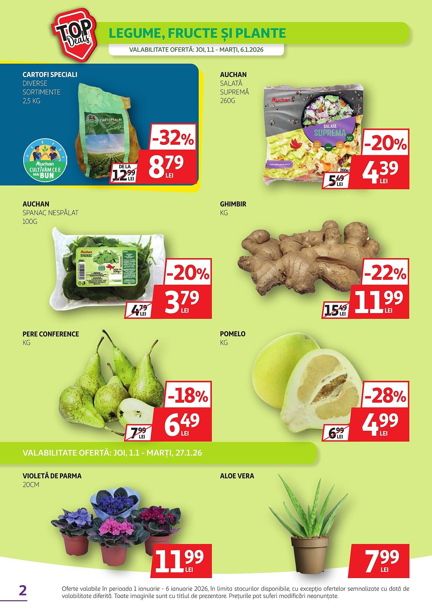 Catalog Auchan