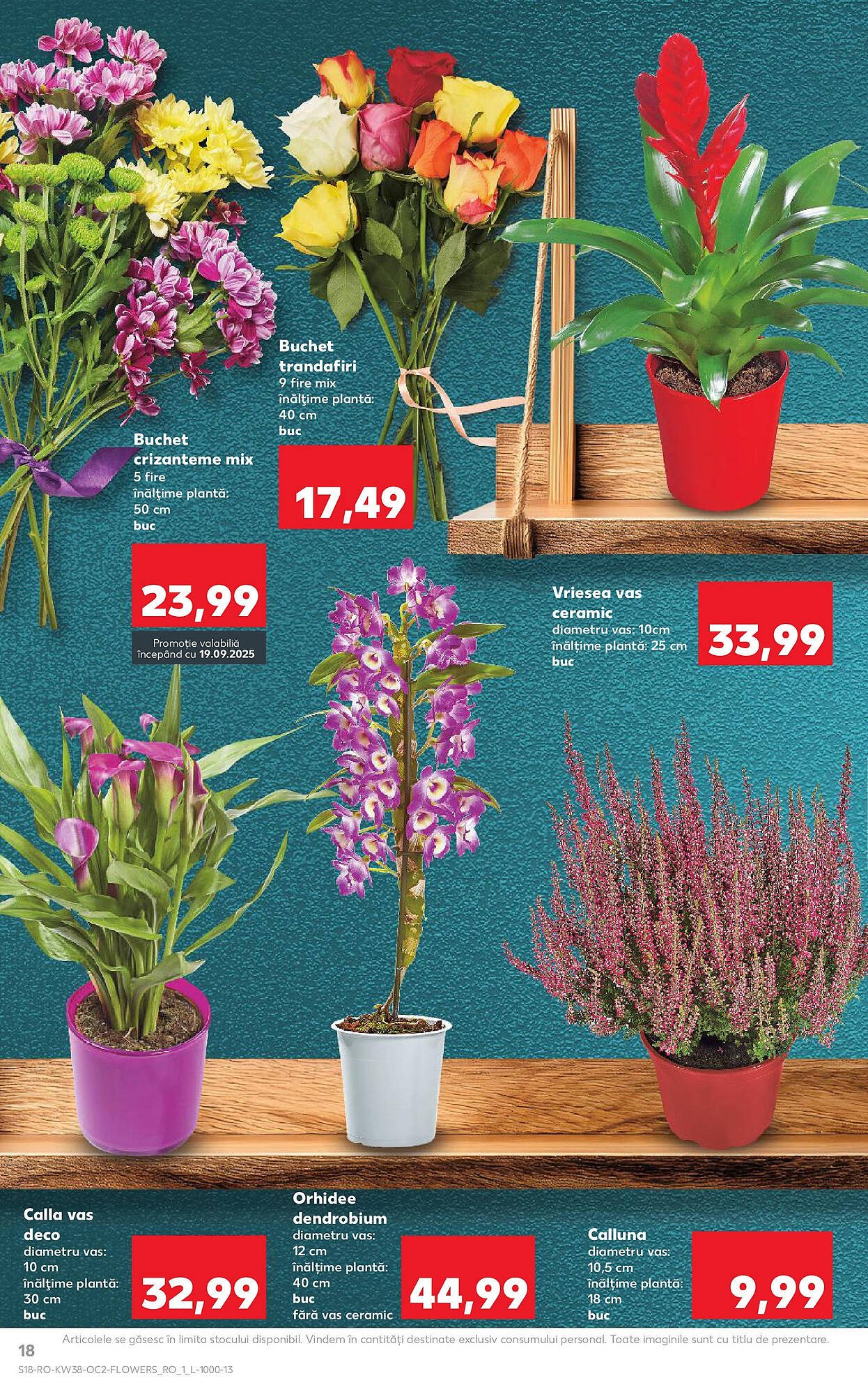 Catalog Kaufland