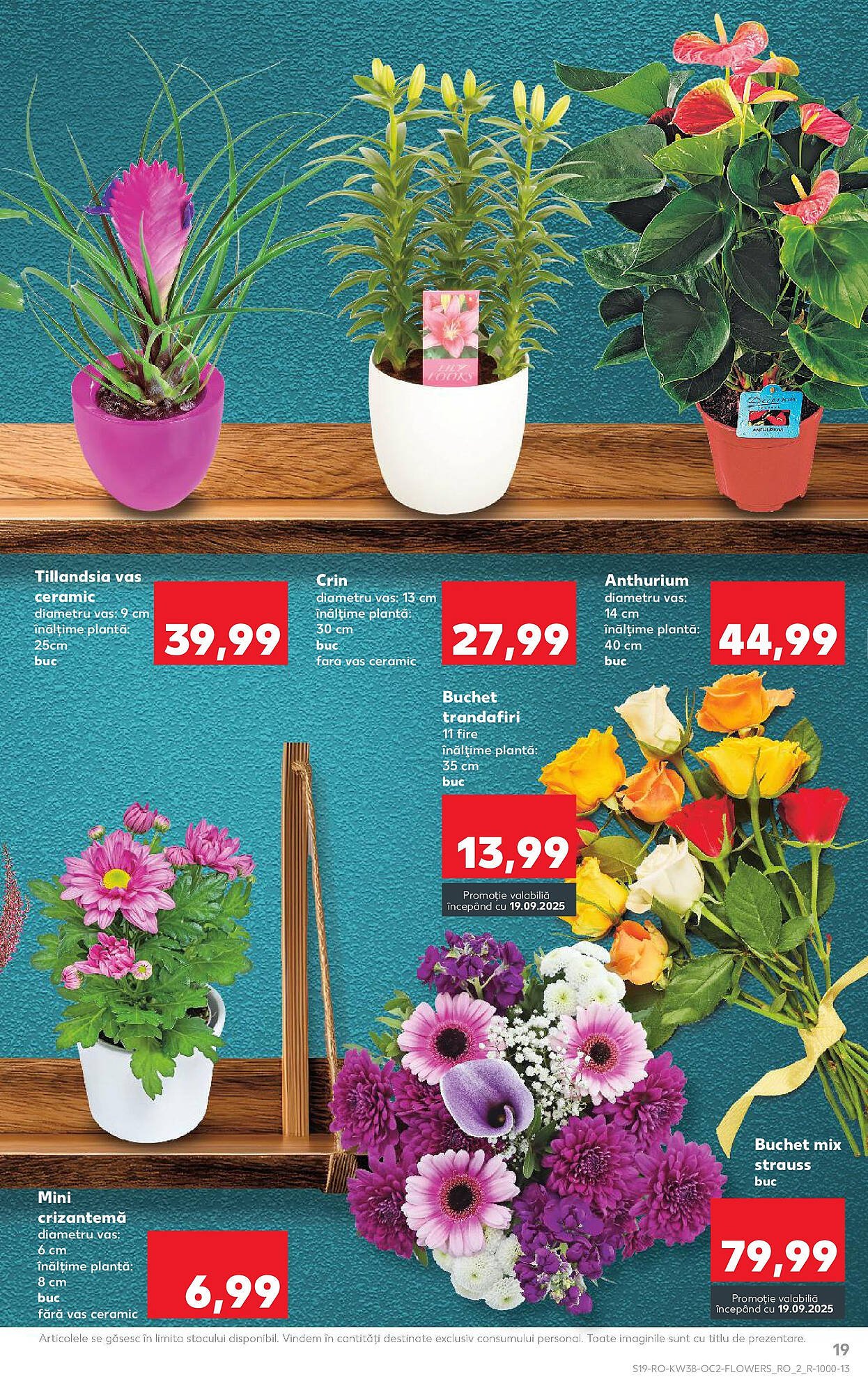 Catalog Kaufland