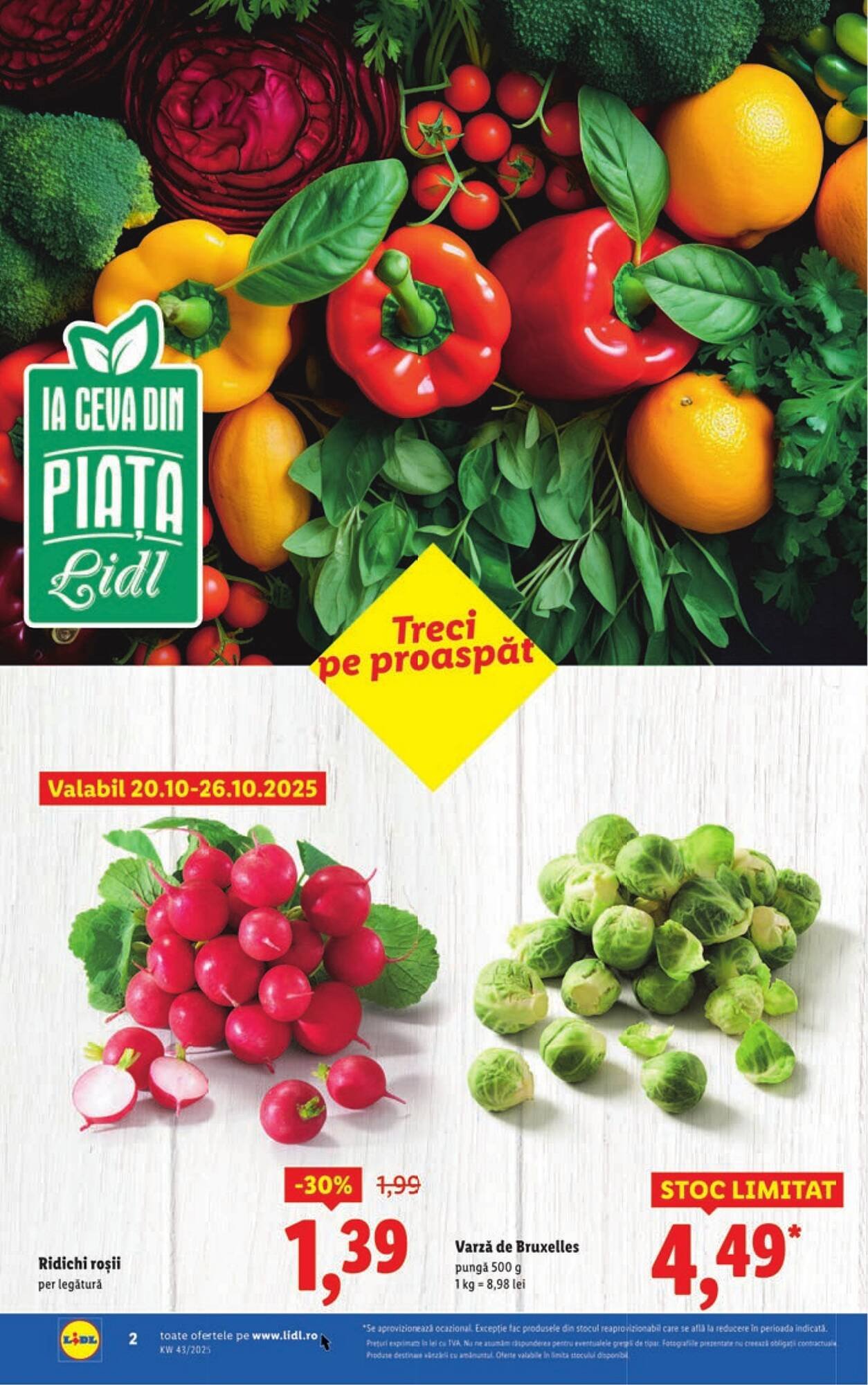 Catalog Lidl