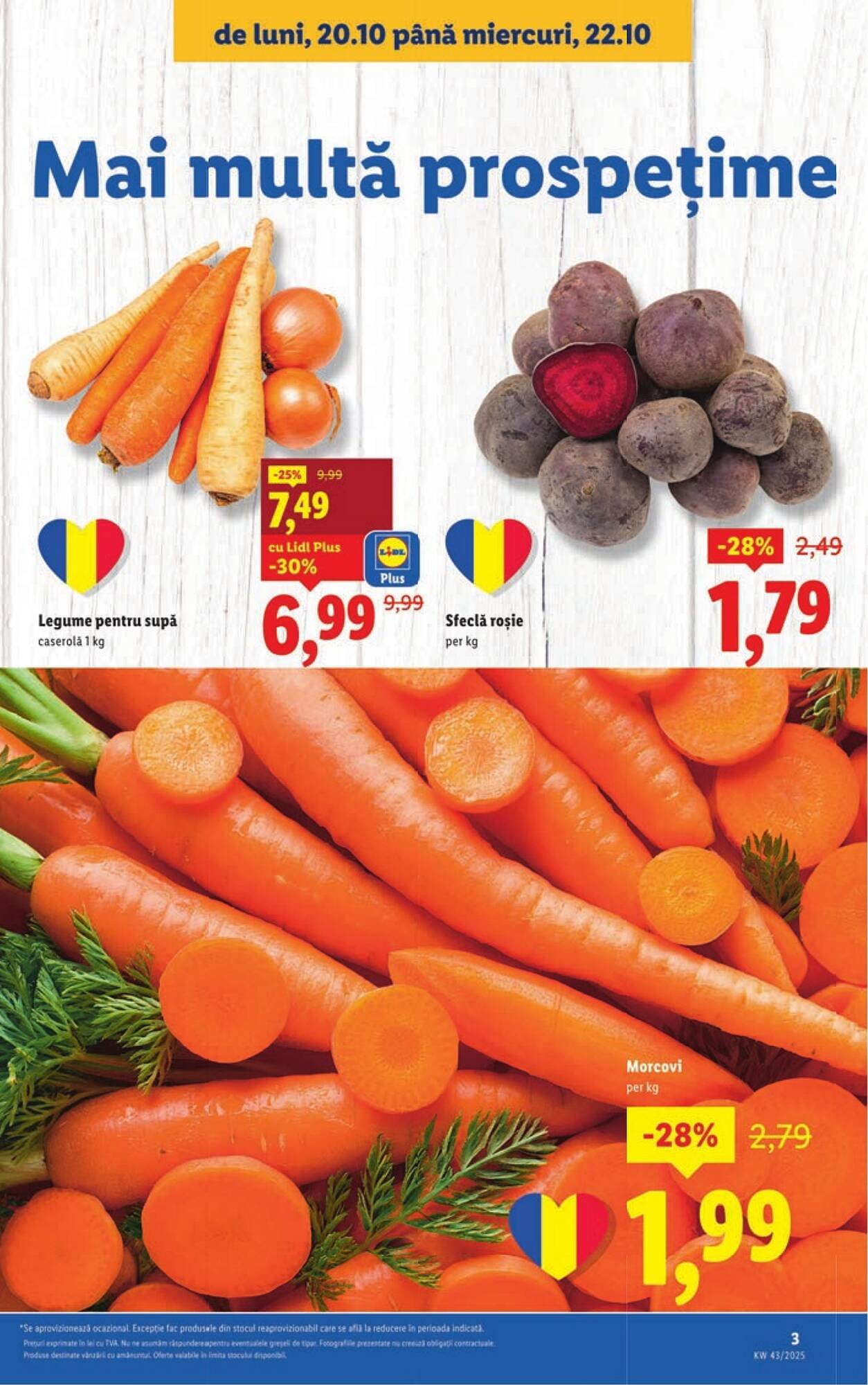 Catalog Lidl
