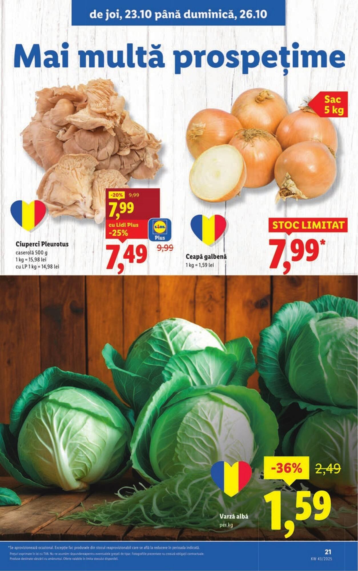 Catalog Lidl