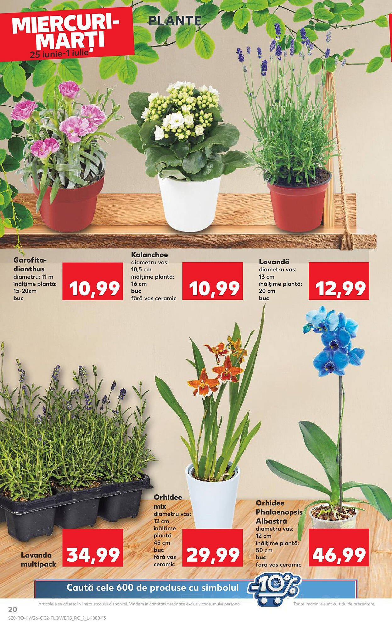 Catalog Kaufland