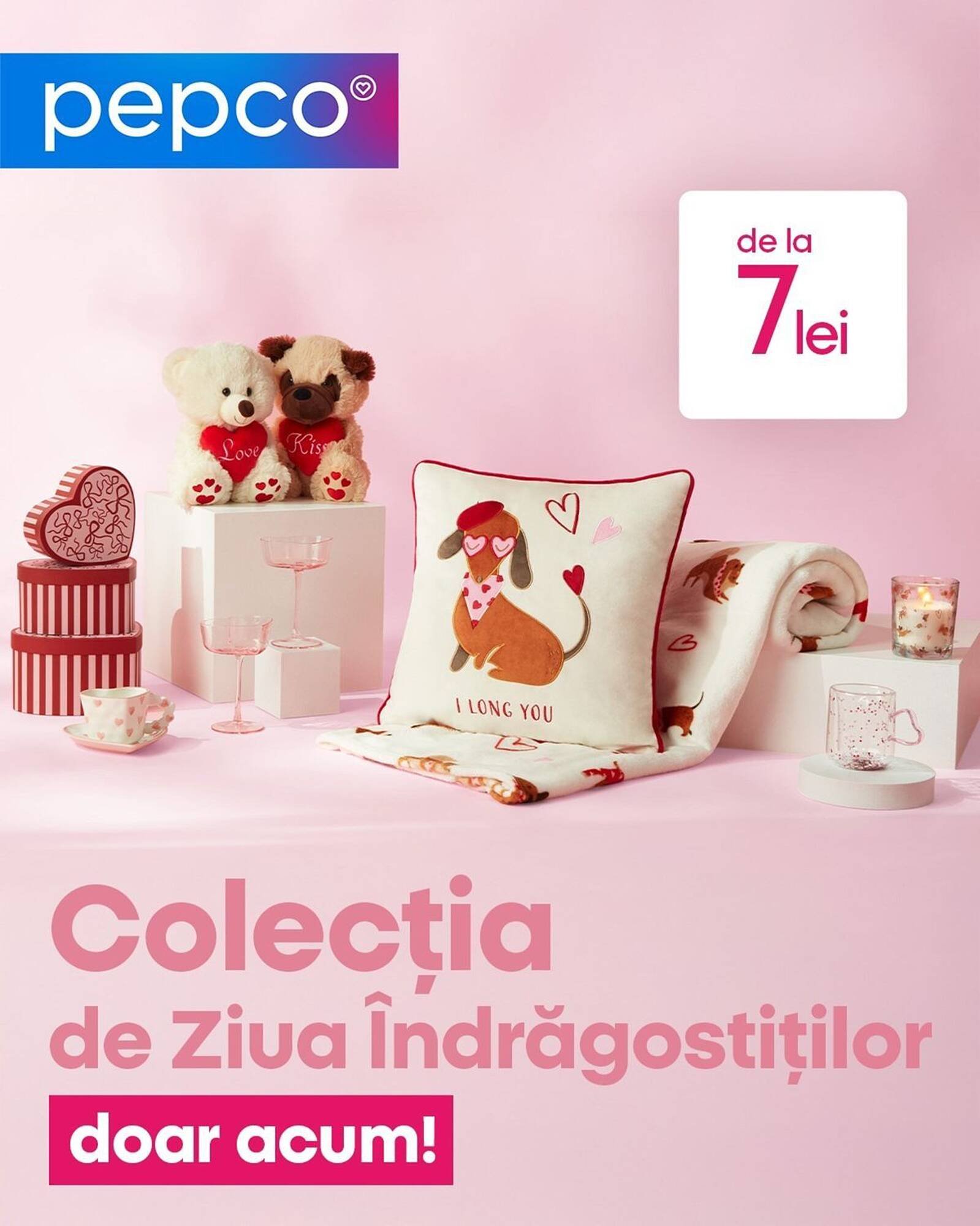 Catalog Pepco