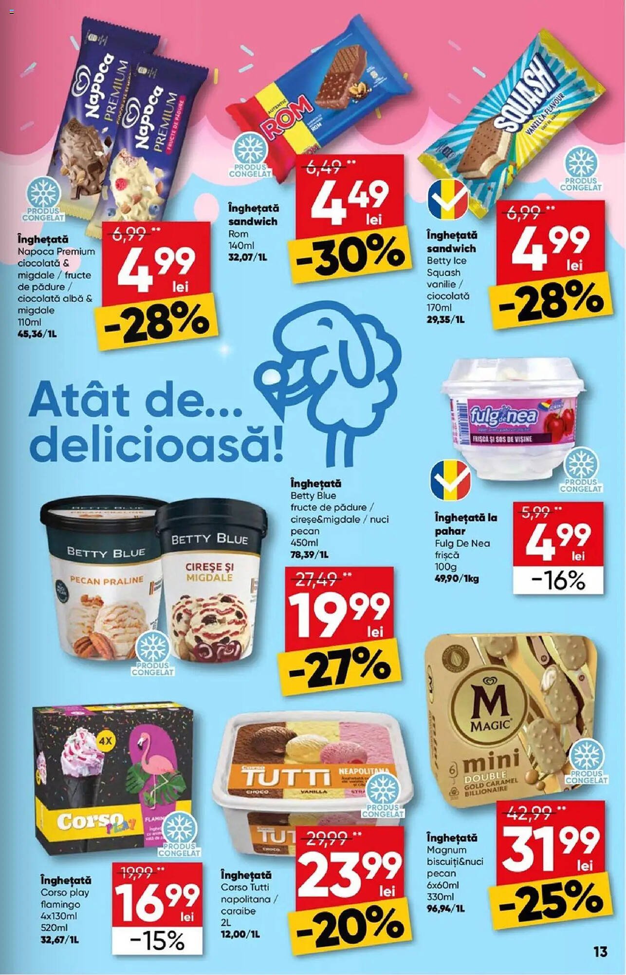 Catalog PROFI