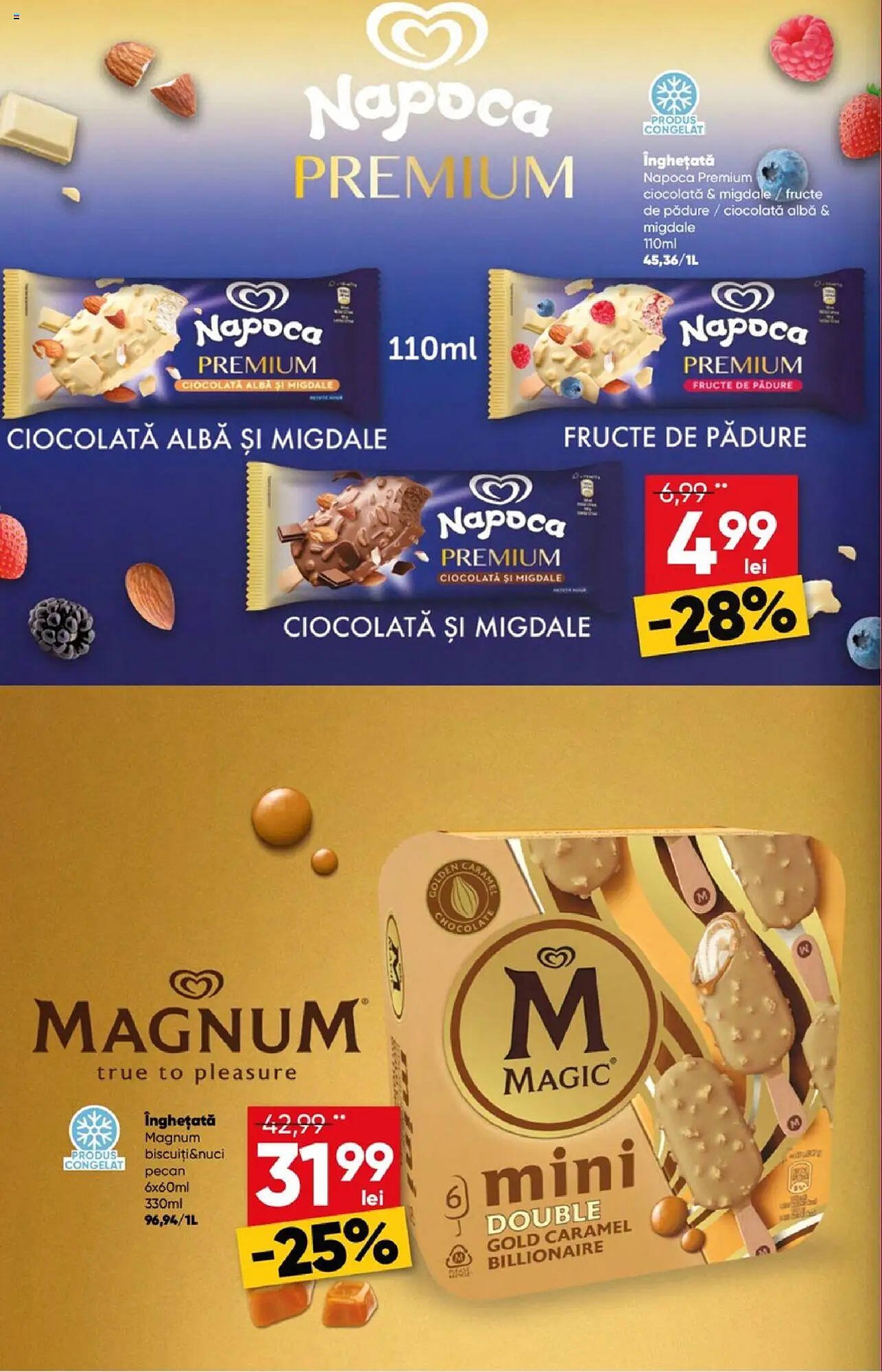 Catalog PROFI