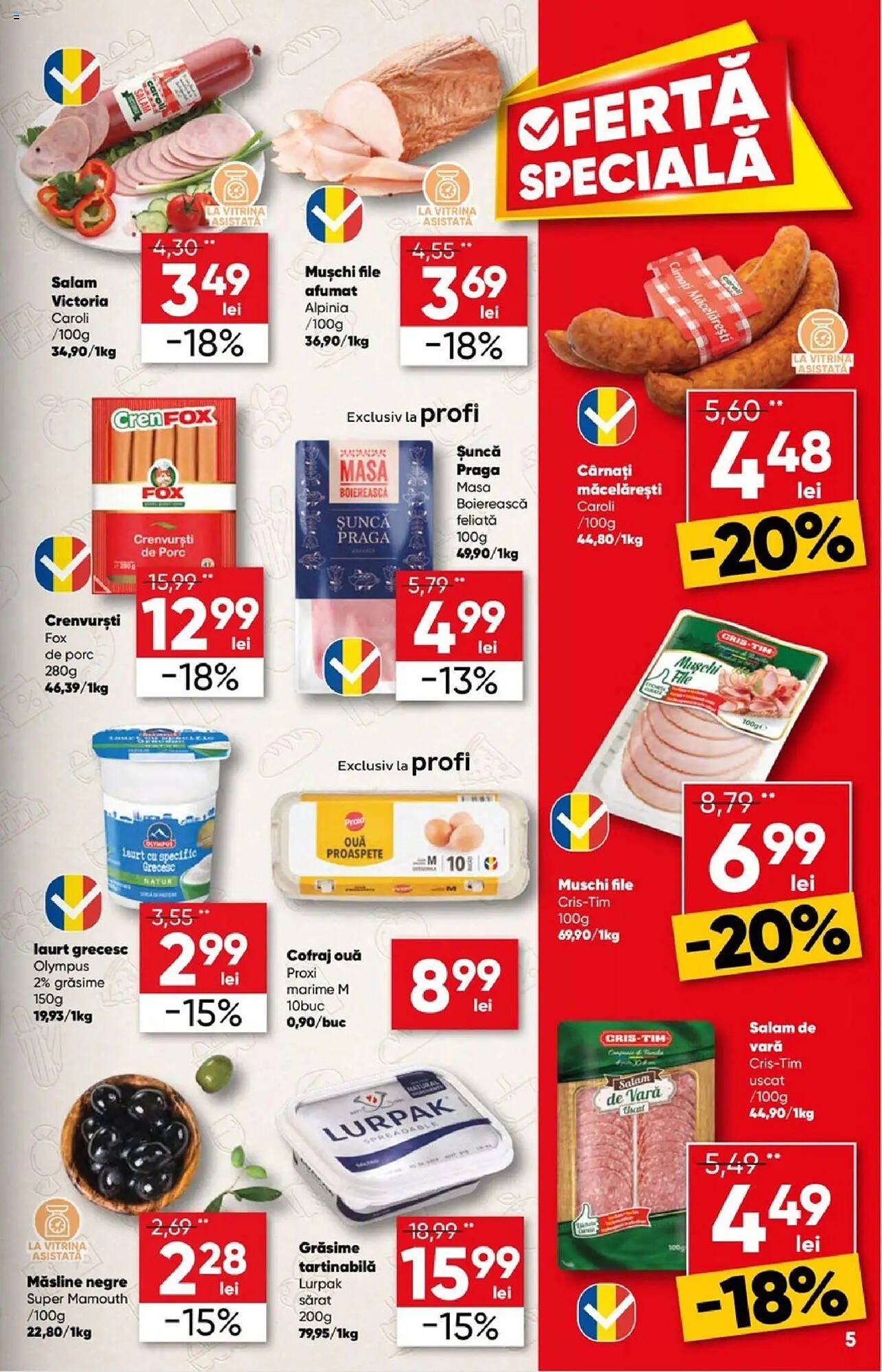 Catalog PROFI