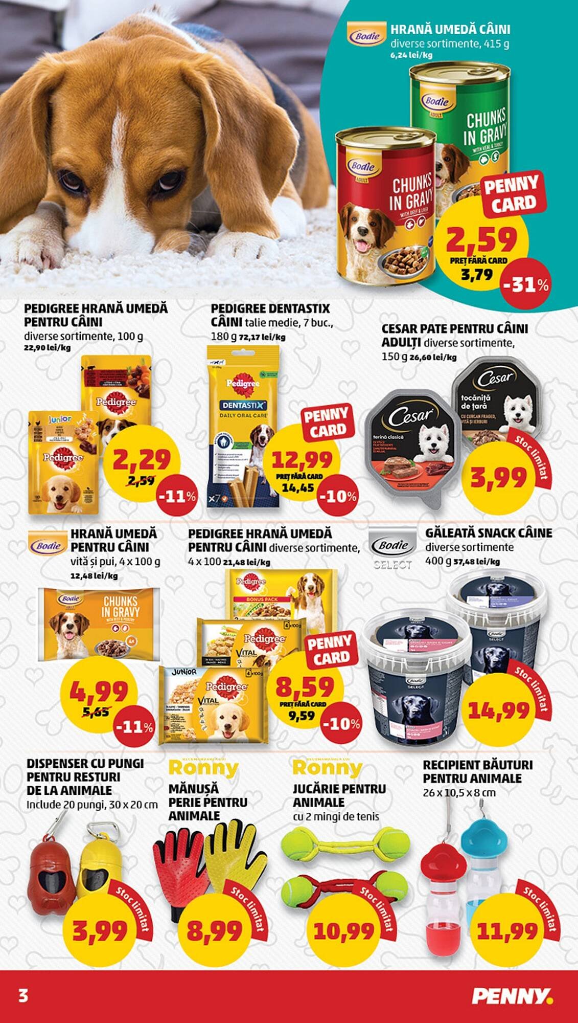 Catalog Penny