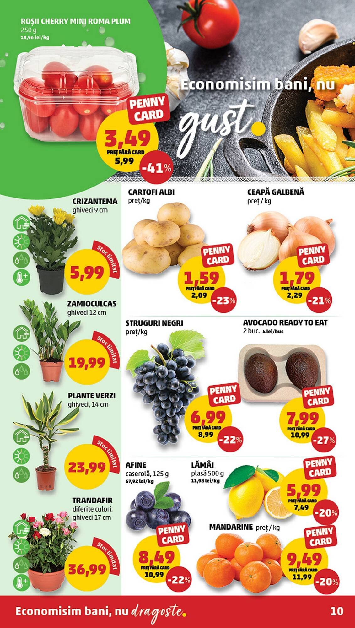 Catalog Penny