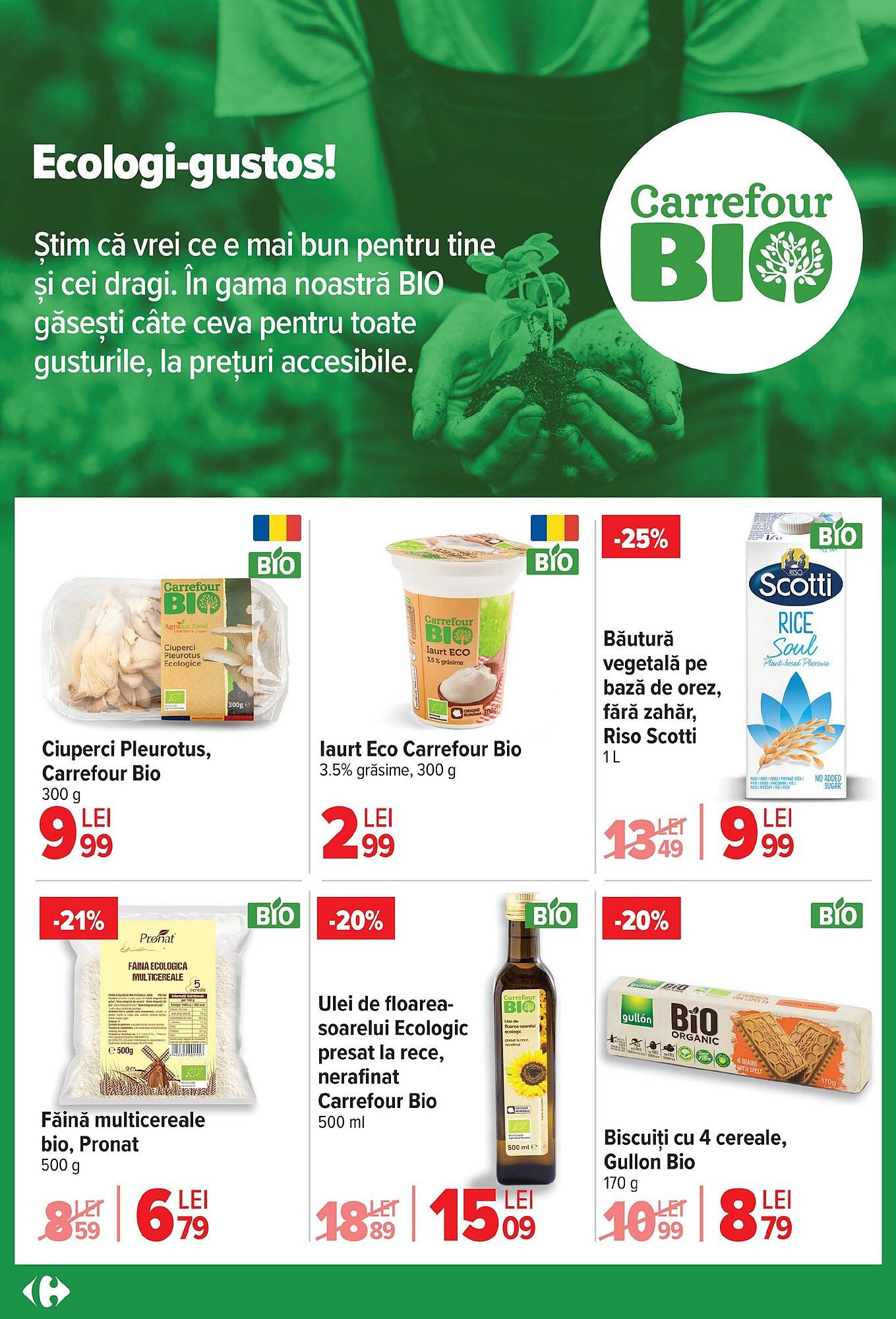 Catalog Carrefour