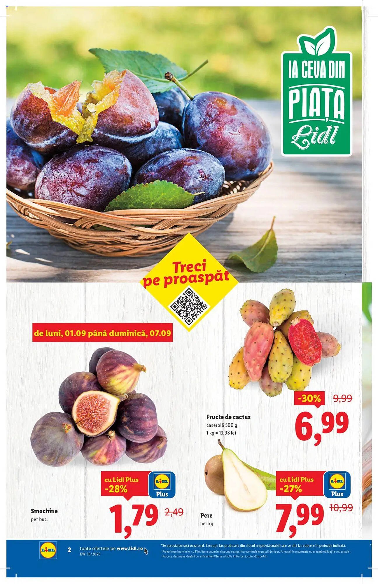 Catalog Lidl