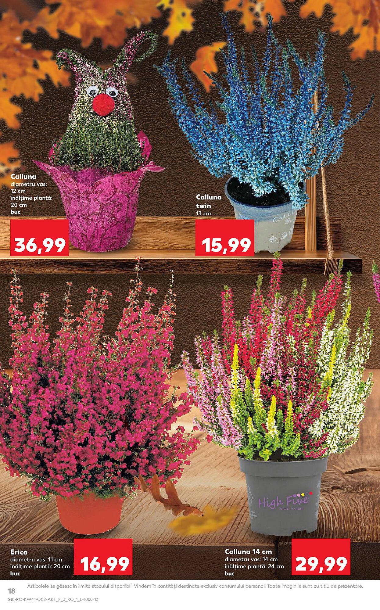 Catalog Kaufland
