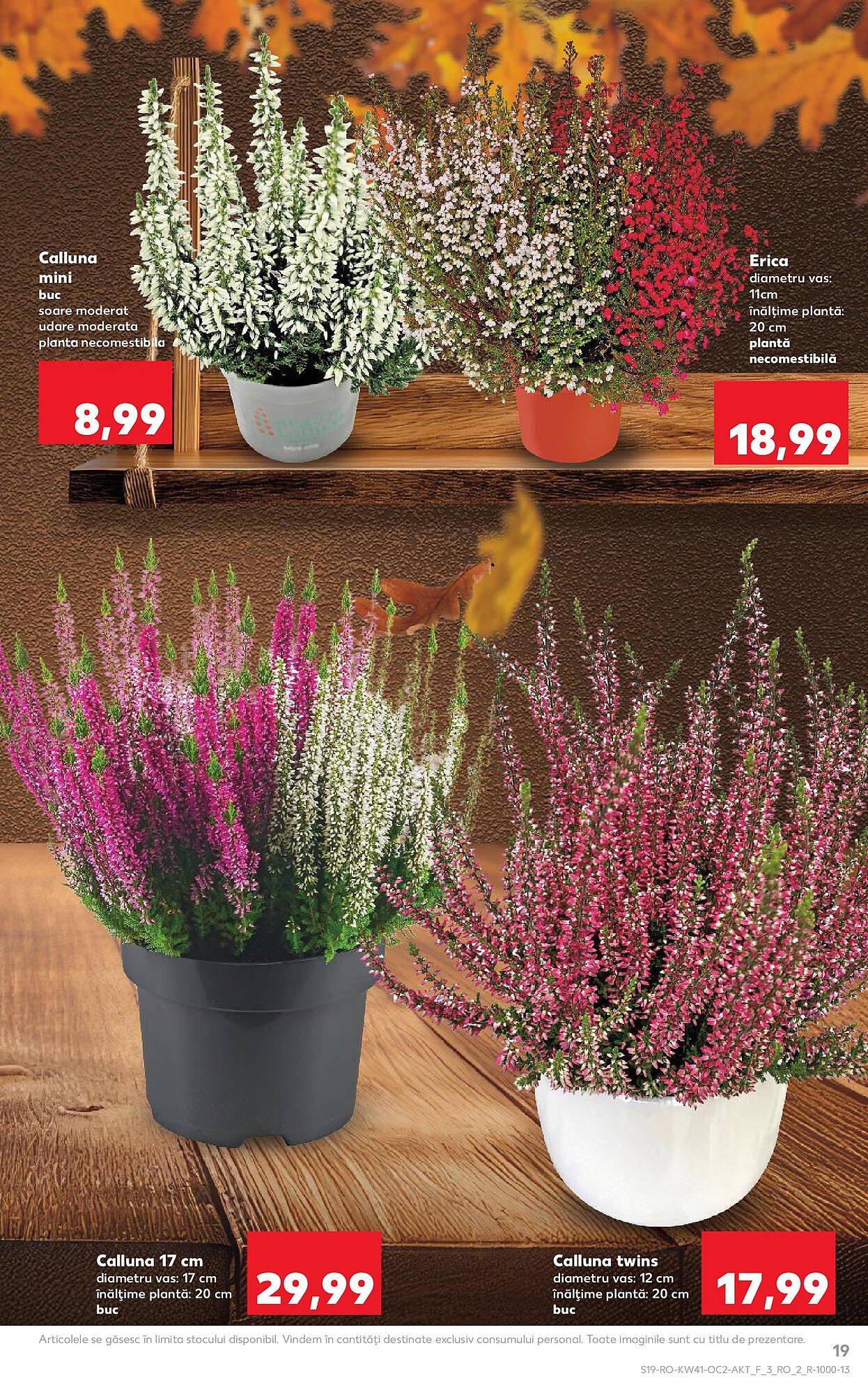 Catalog Kaufland