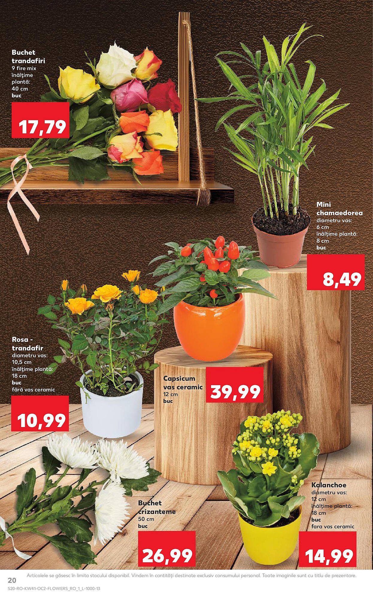 Catalog Kaufland
