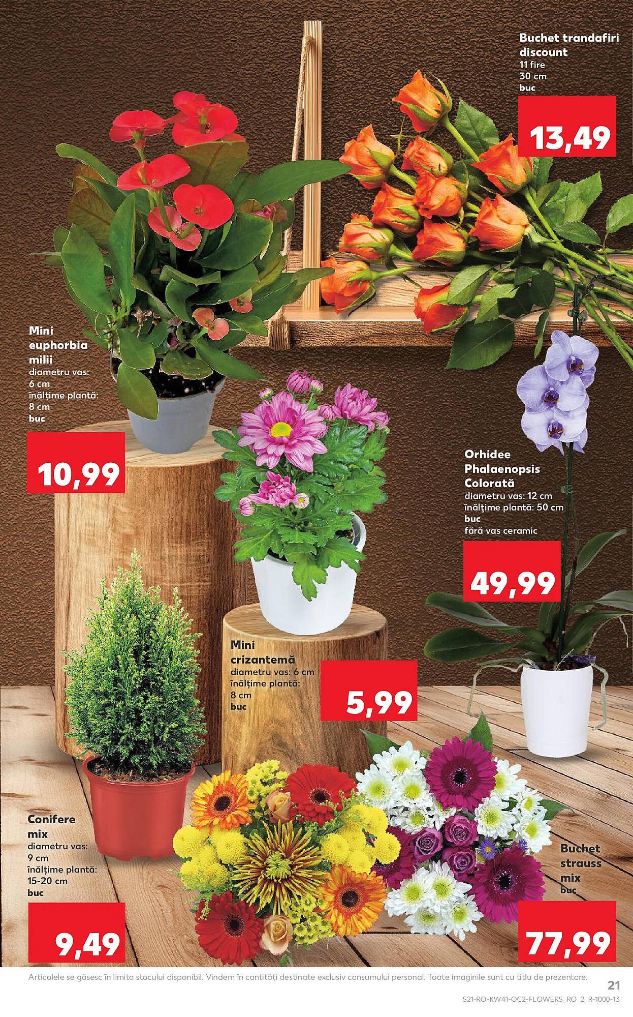 Catalog Kaufland