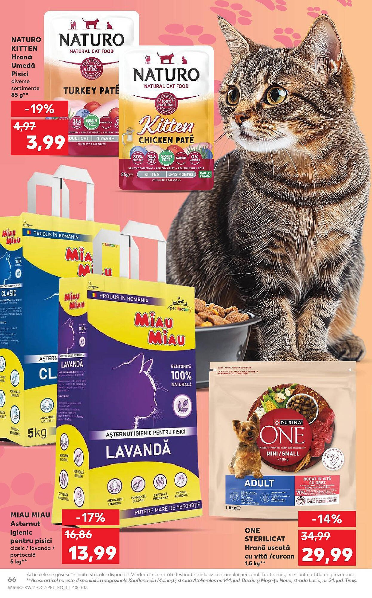 Catalog Kaufland